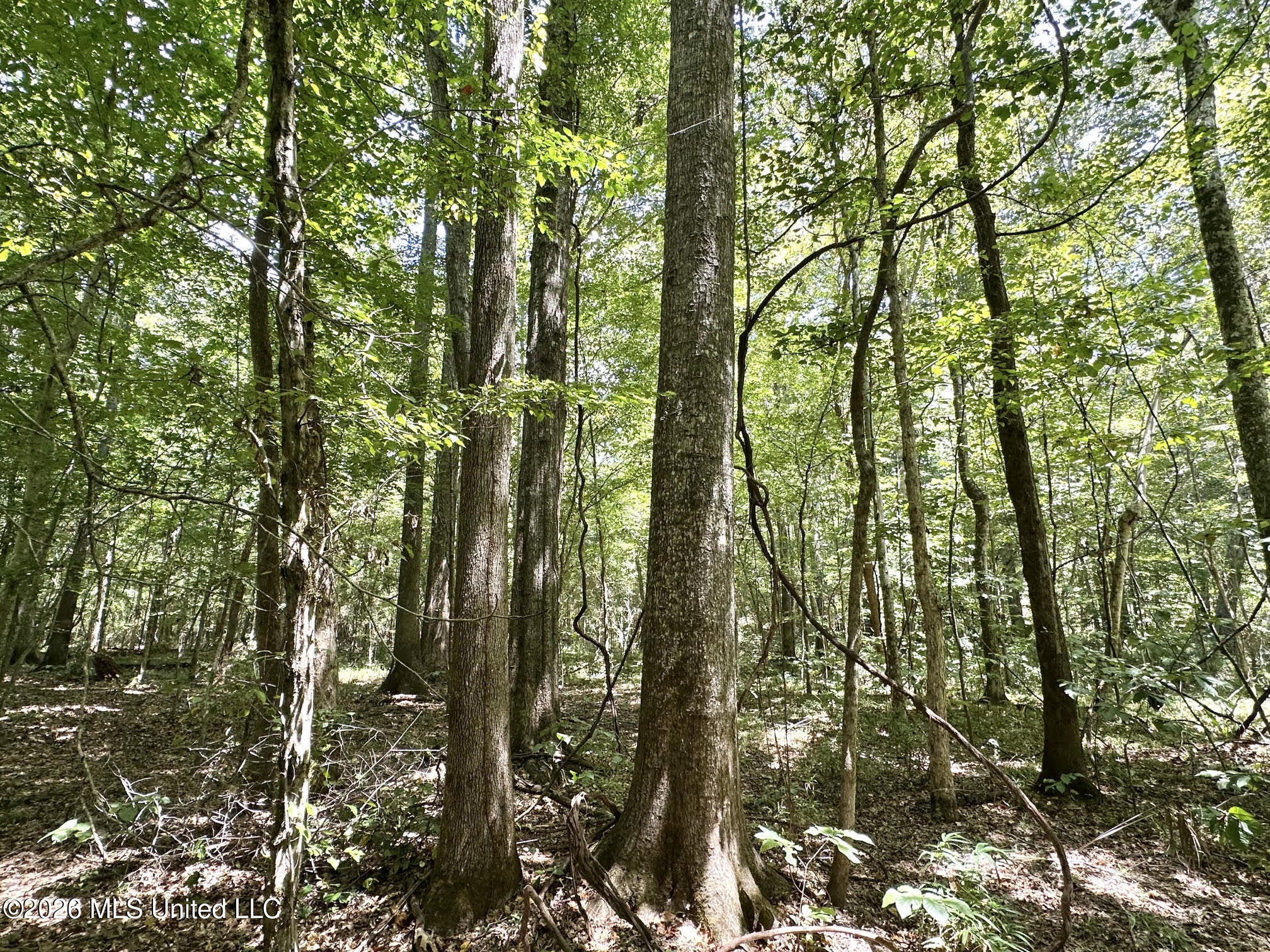 5 County Road 24 Property Photo 4