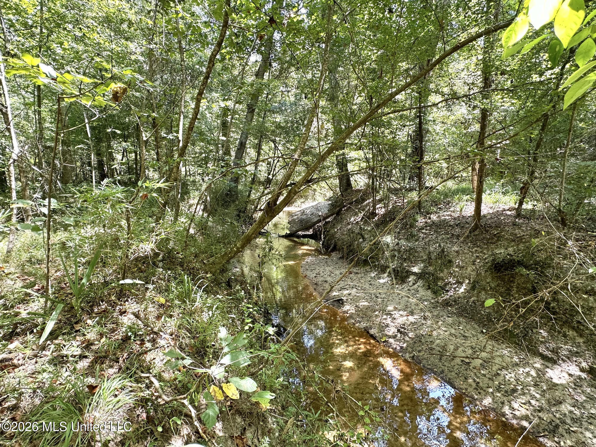 5 County Road 24 Property Photo 5