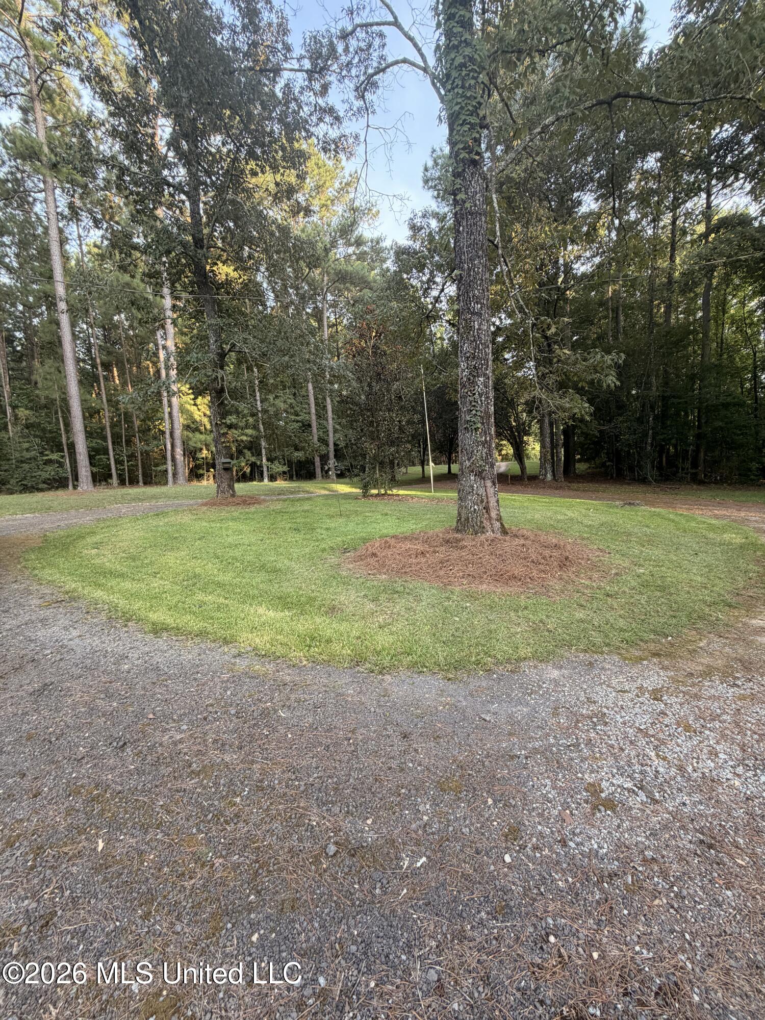 110 Mccormack Circle Property Photo 7