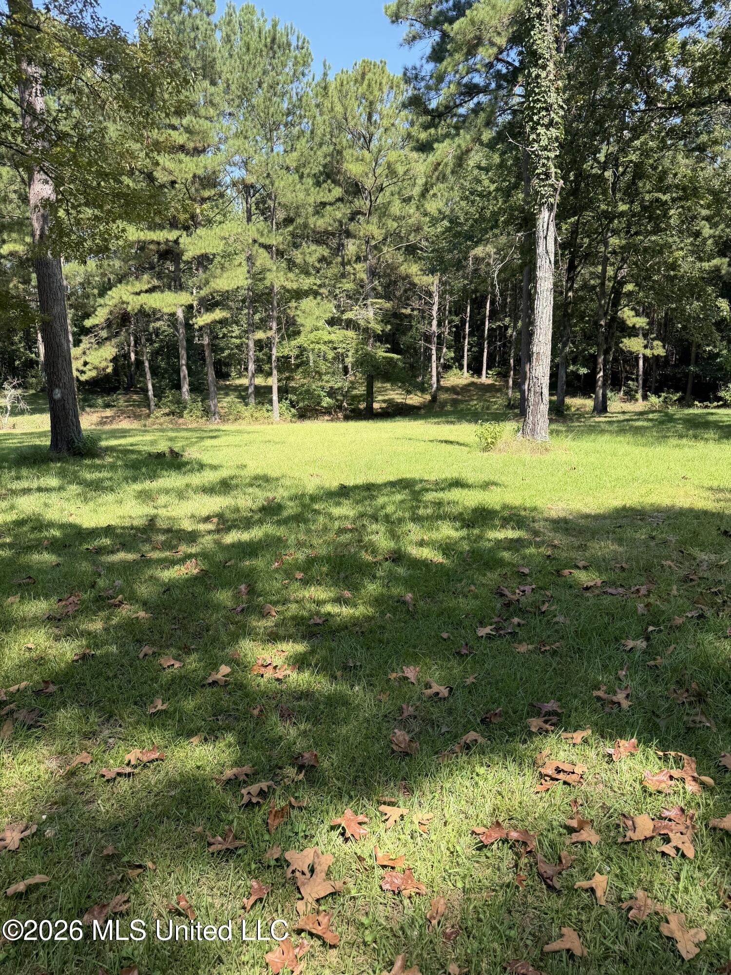 110 Mccormack Circle Property Photo 39