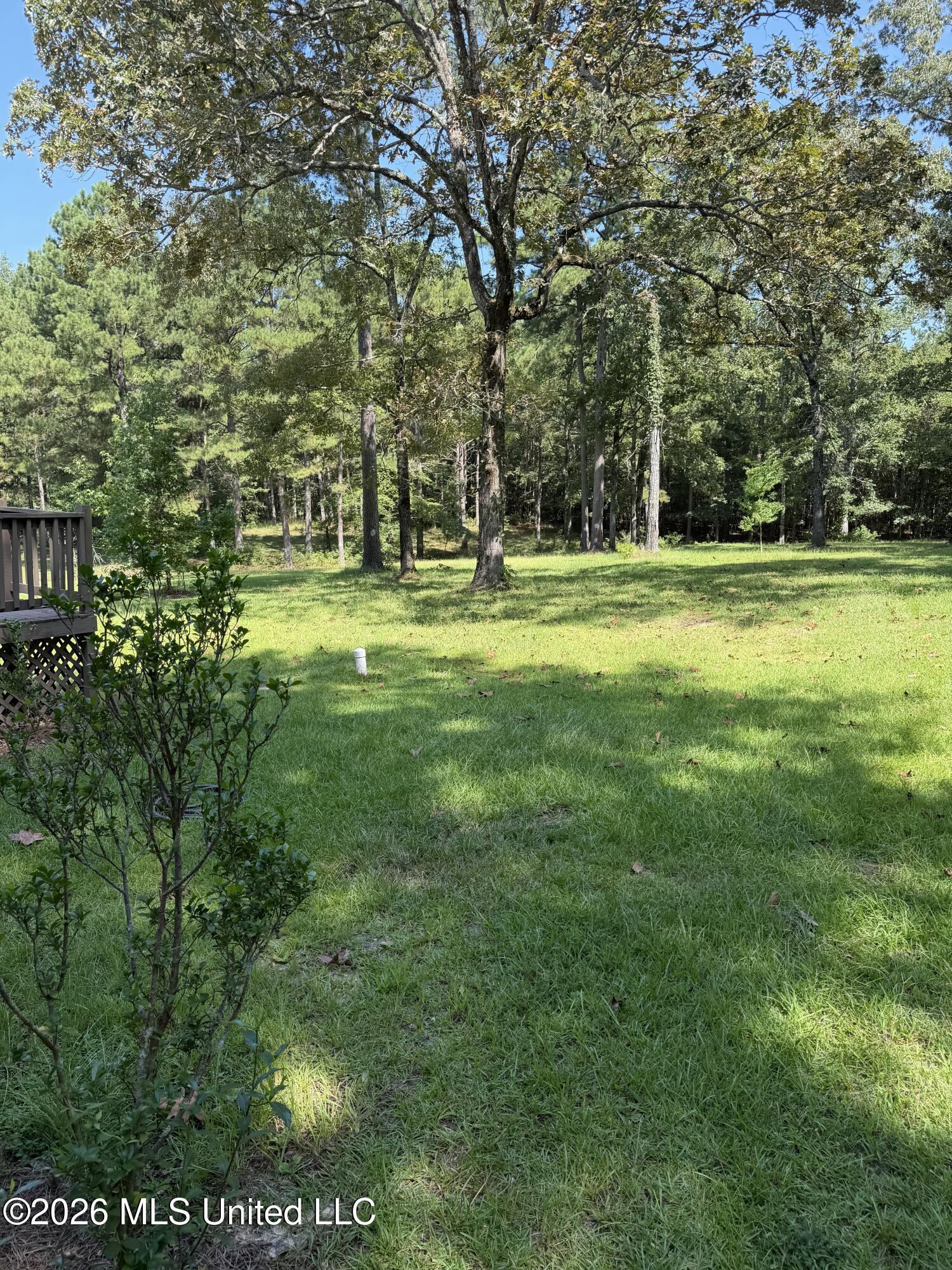 110 Mccormack Circle Property Photo 41