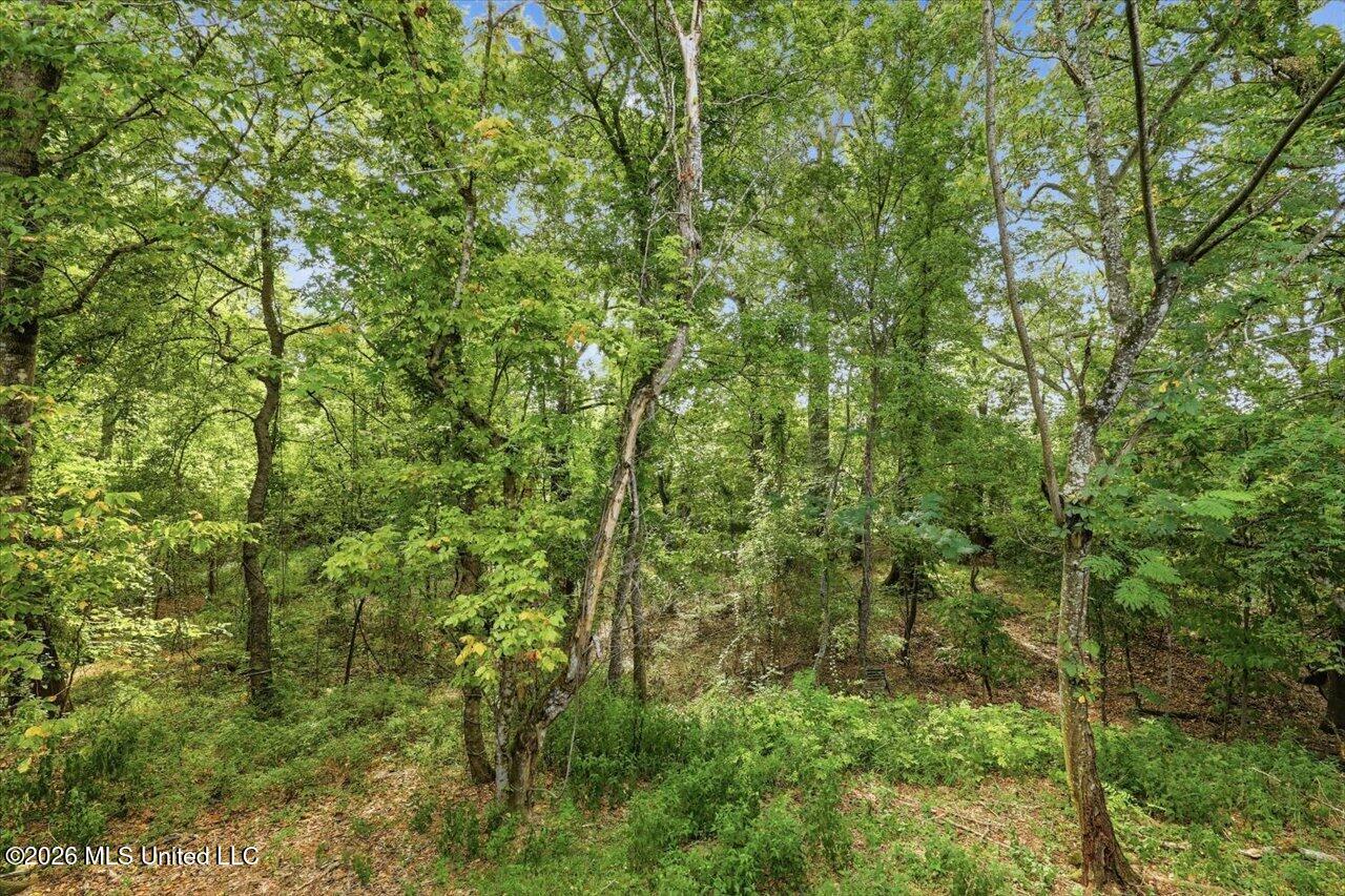 8 Lakeland Circle Property Photo 38