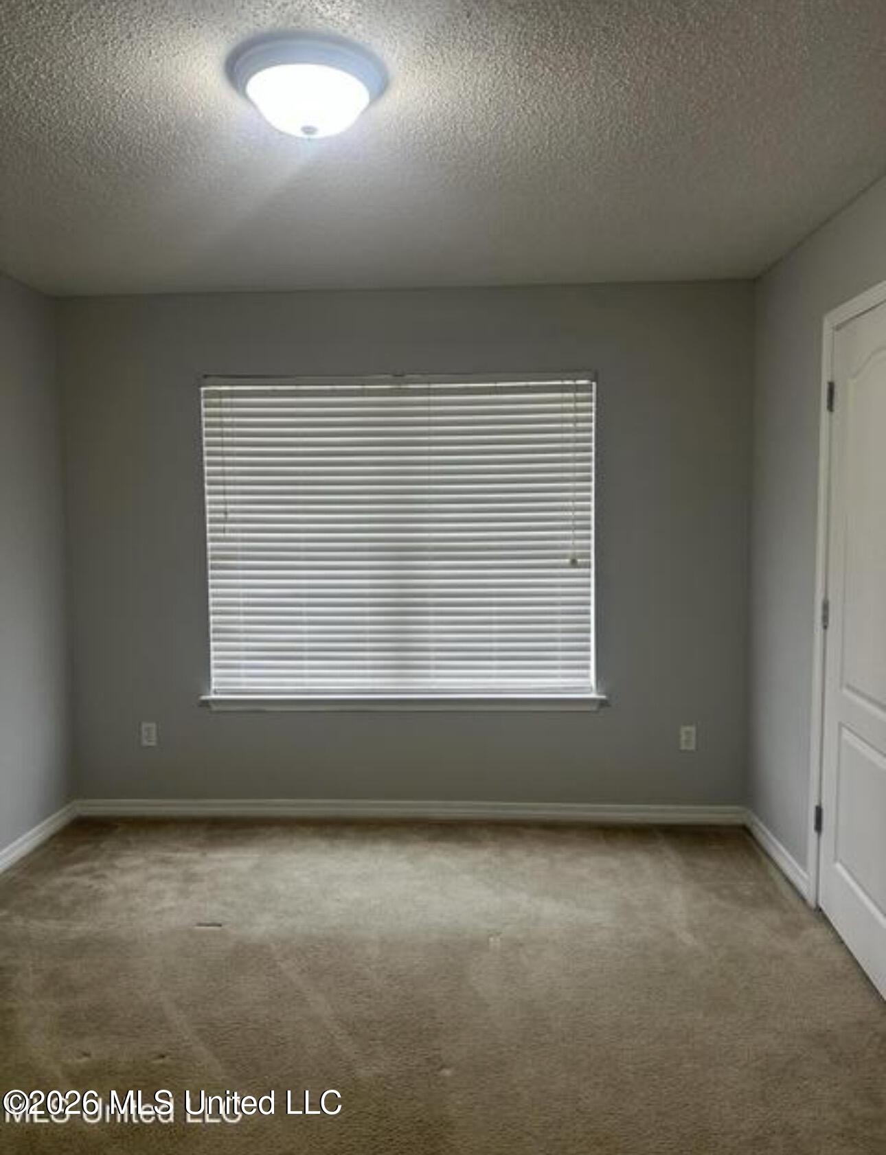 3506 Springwood Lane Property Photo 9