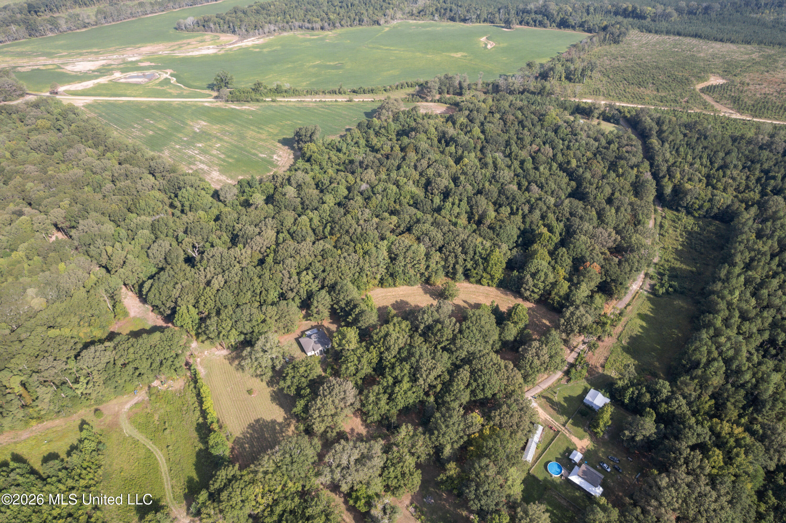1194 Tom Kyzar Road Property Photo 2