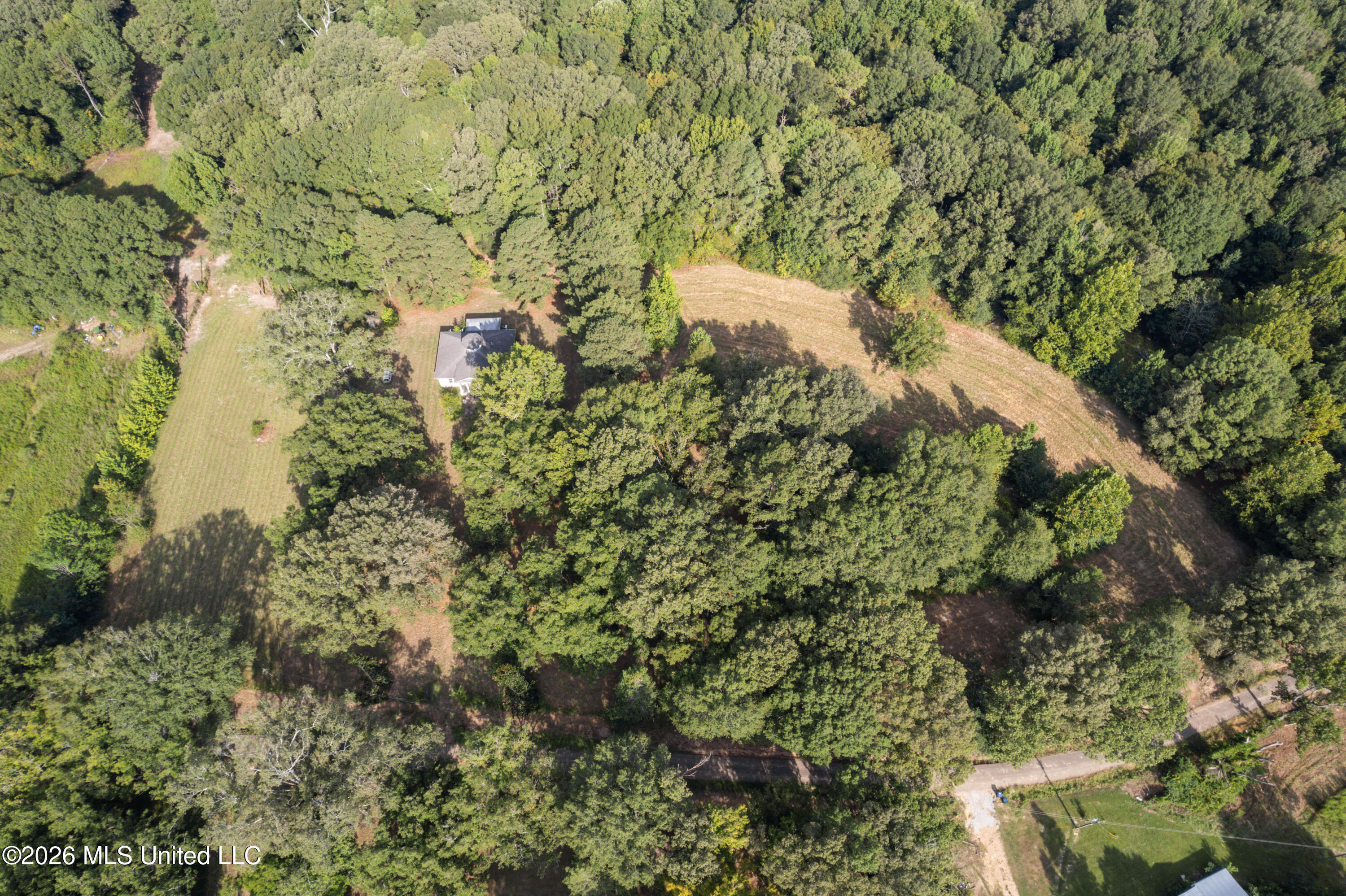 1194 Tom Kyzar Road Property Photo 3