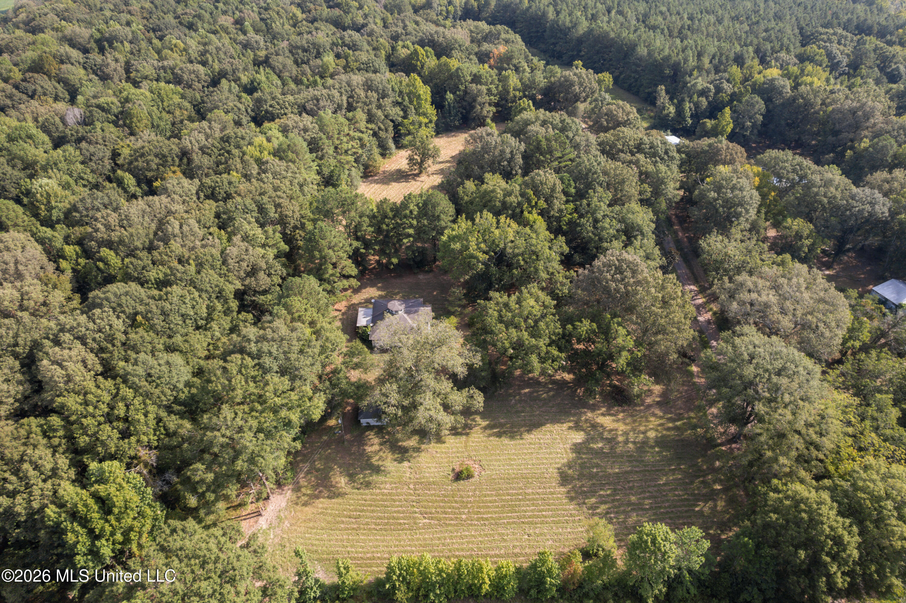 1194 Tom Kyzar Road Property Photo 4