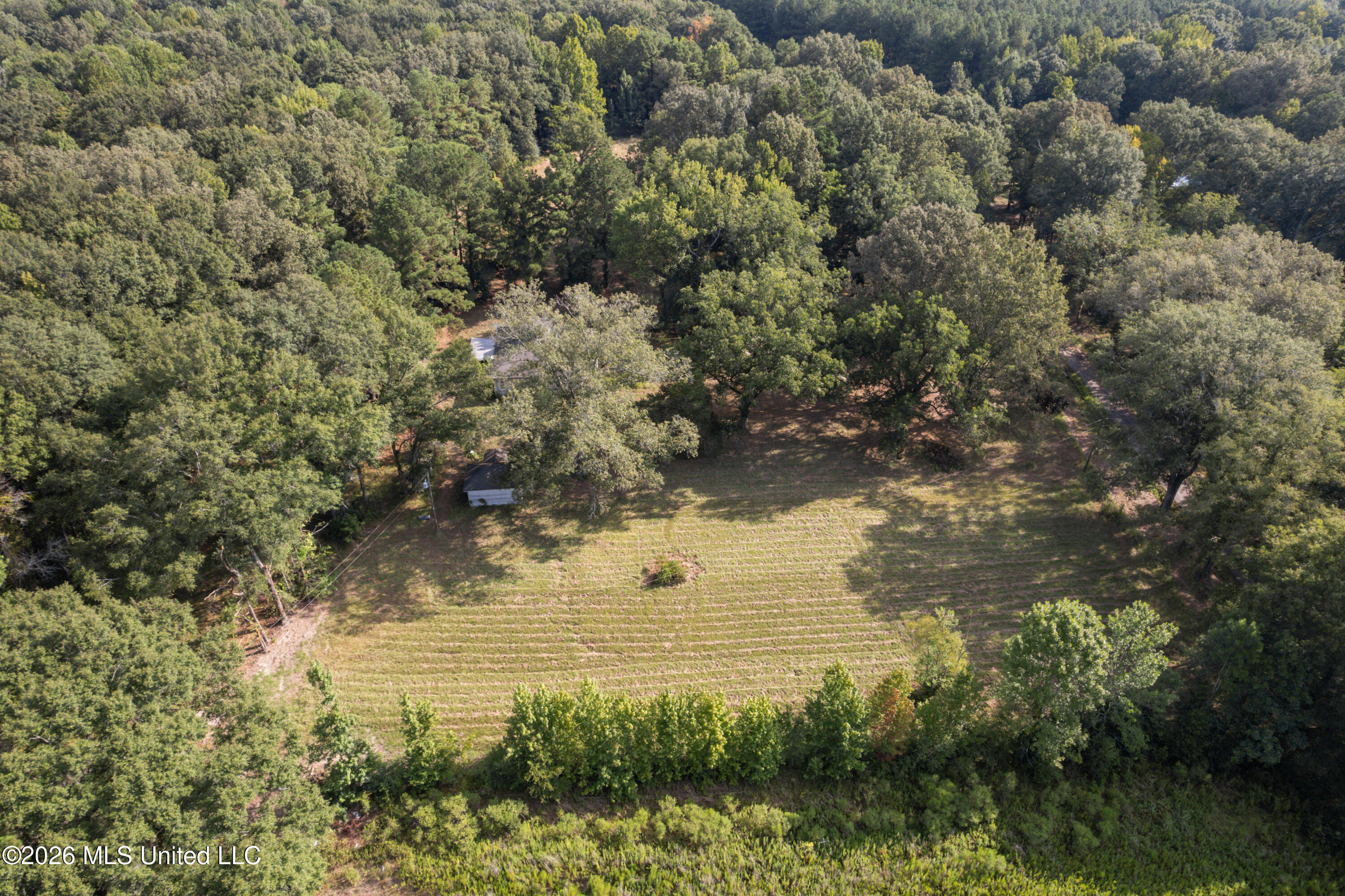 1194 Tom Kyzar Road Property Photo 5