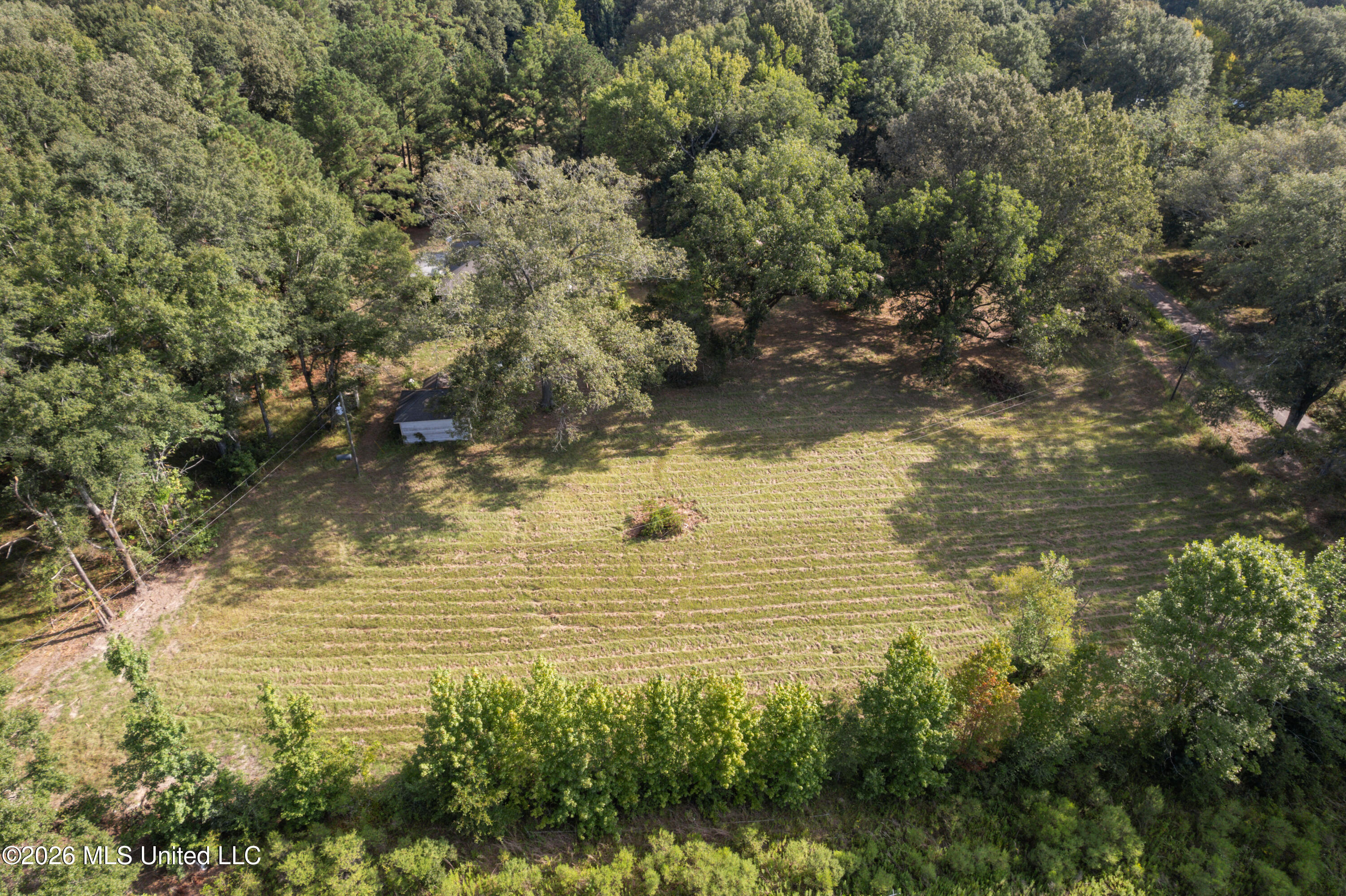 1194 Tom Kyzar Road Property Photo 6