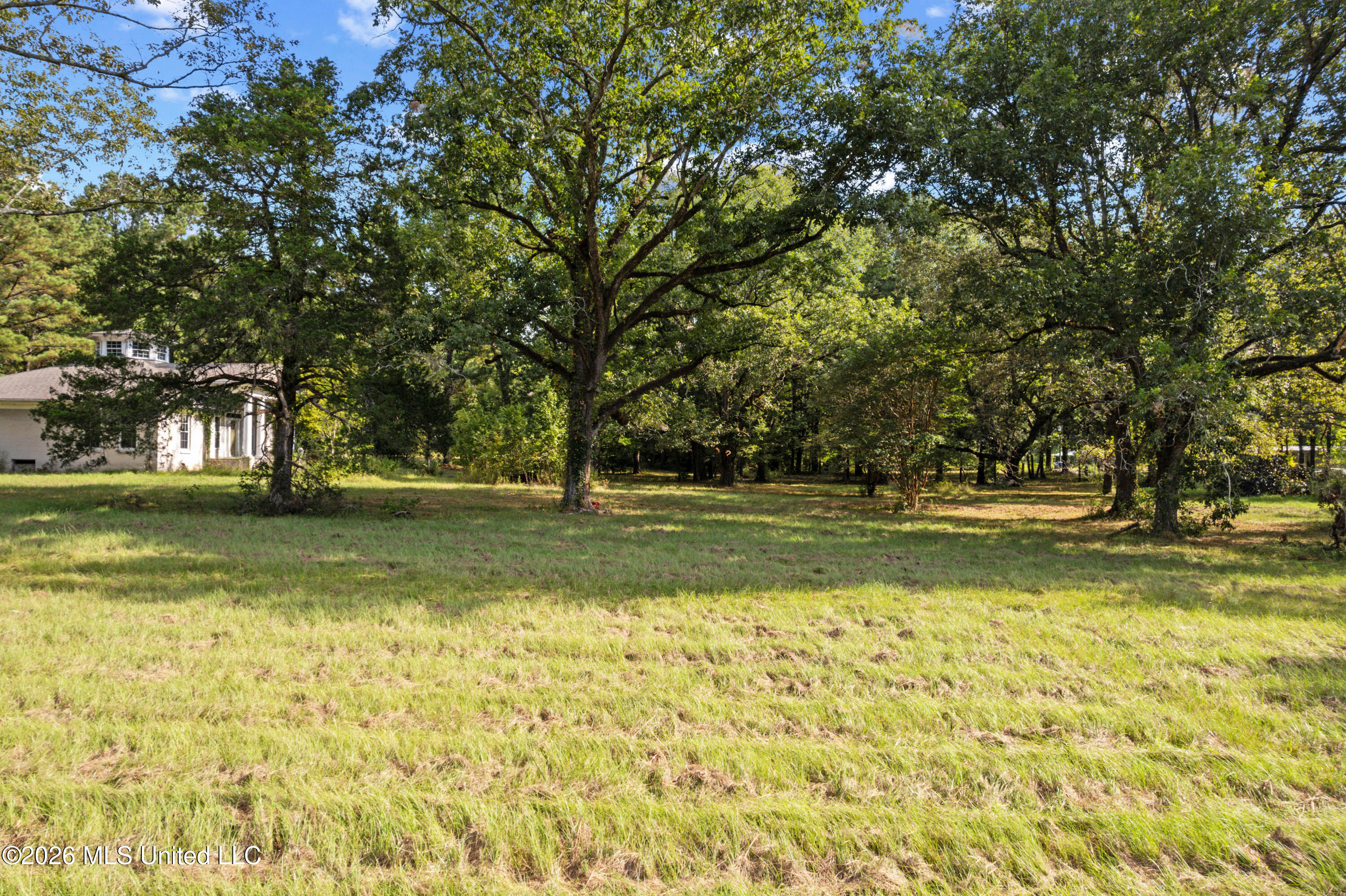 1194 Tom Kyzar Road Property Photo 8