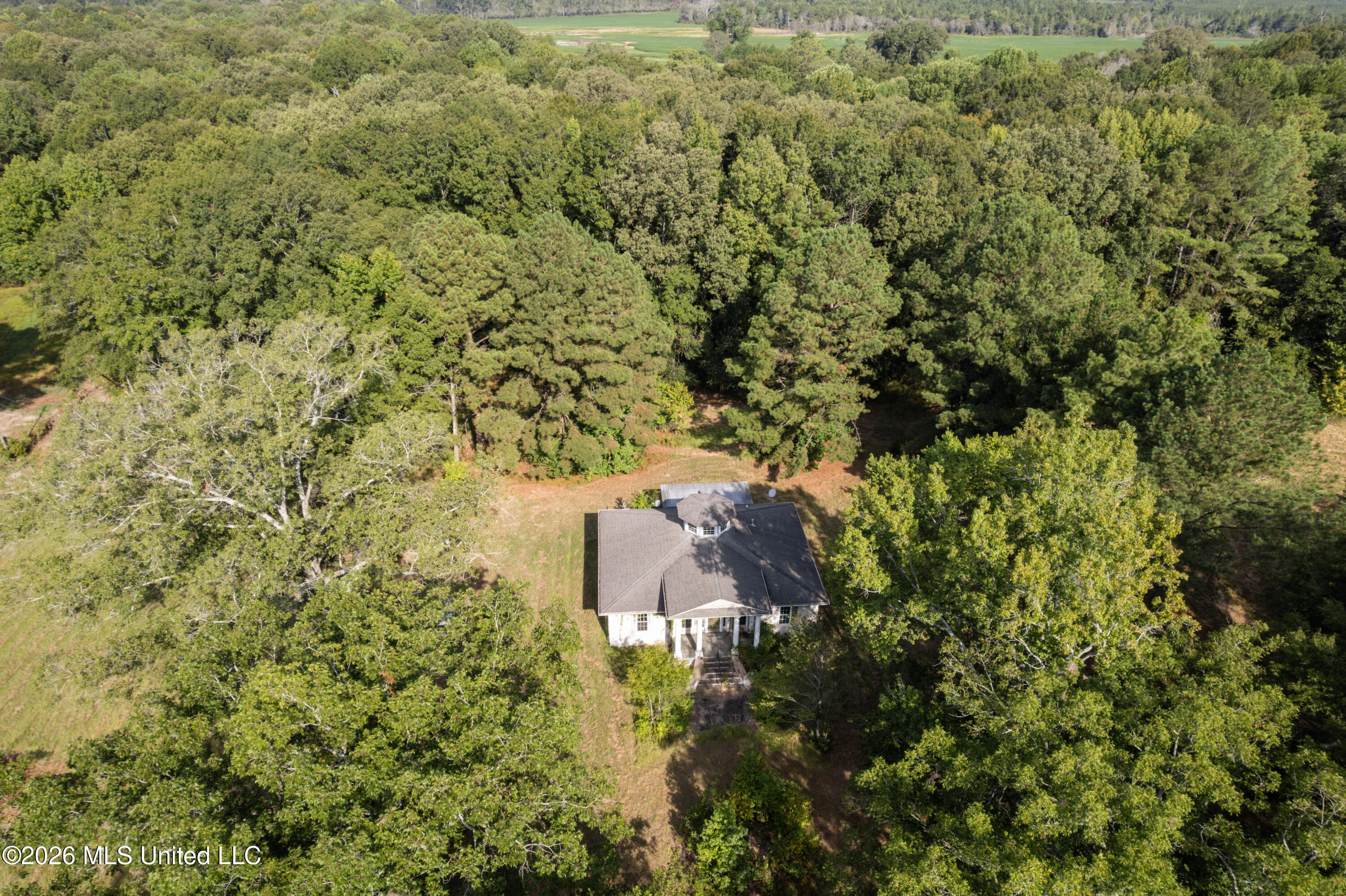 1194 Tom Kyzar Road Property Photo 9
