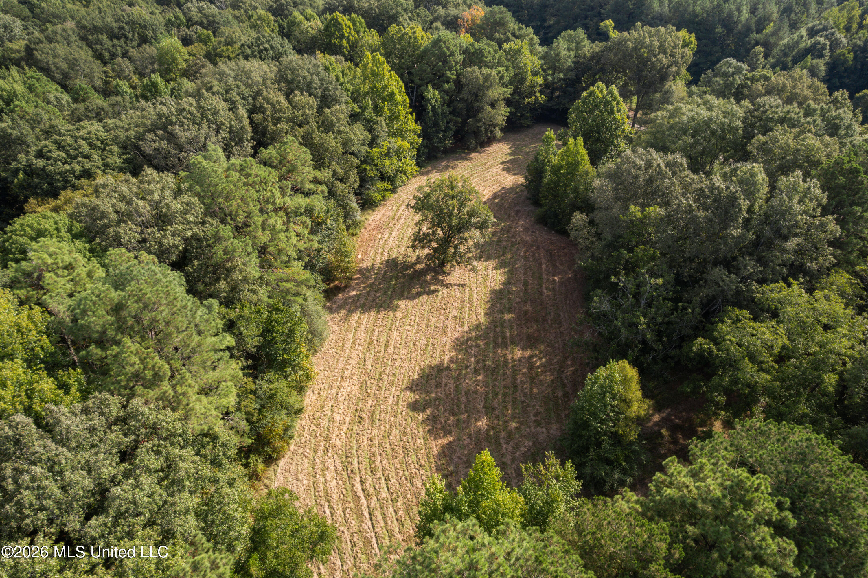 1194 Tom Kyzar Road Property Photo 10