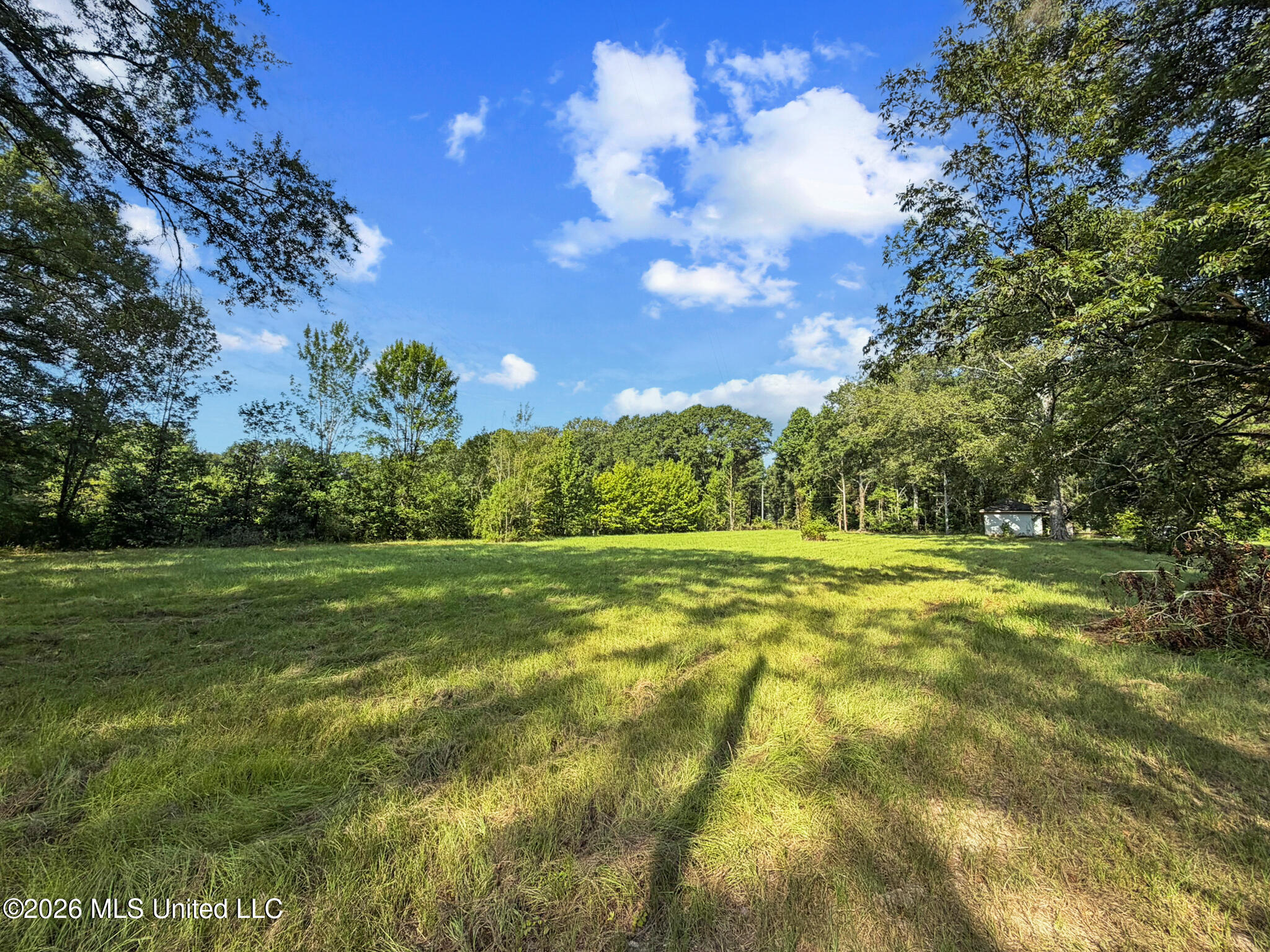 1194 Tom Kyzar Road Property Photo 12