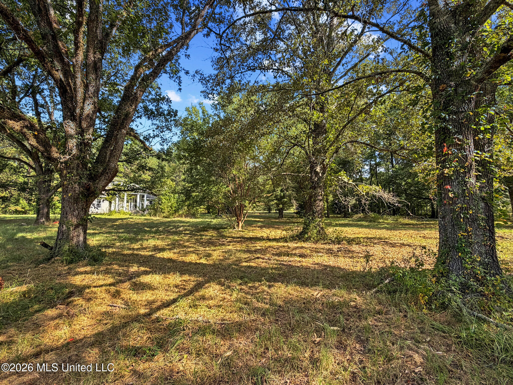 1194 Tom Kyzar Road Property Photo 13