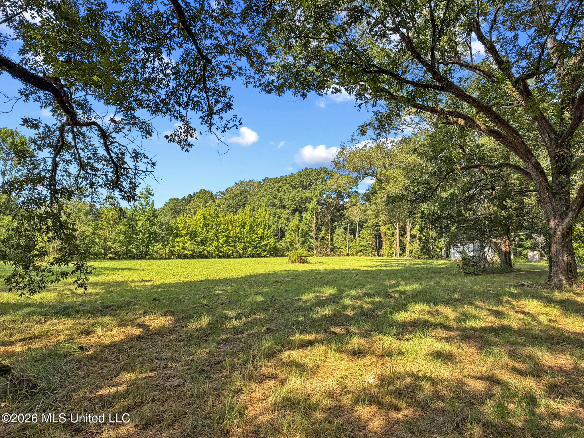 1194 Tom Kyzar Road Property Photo 14