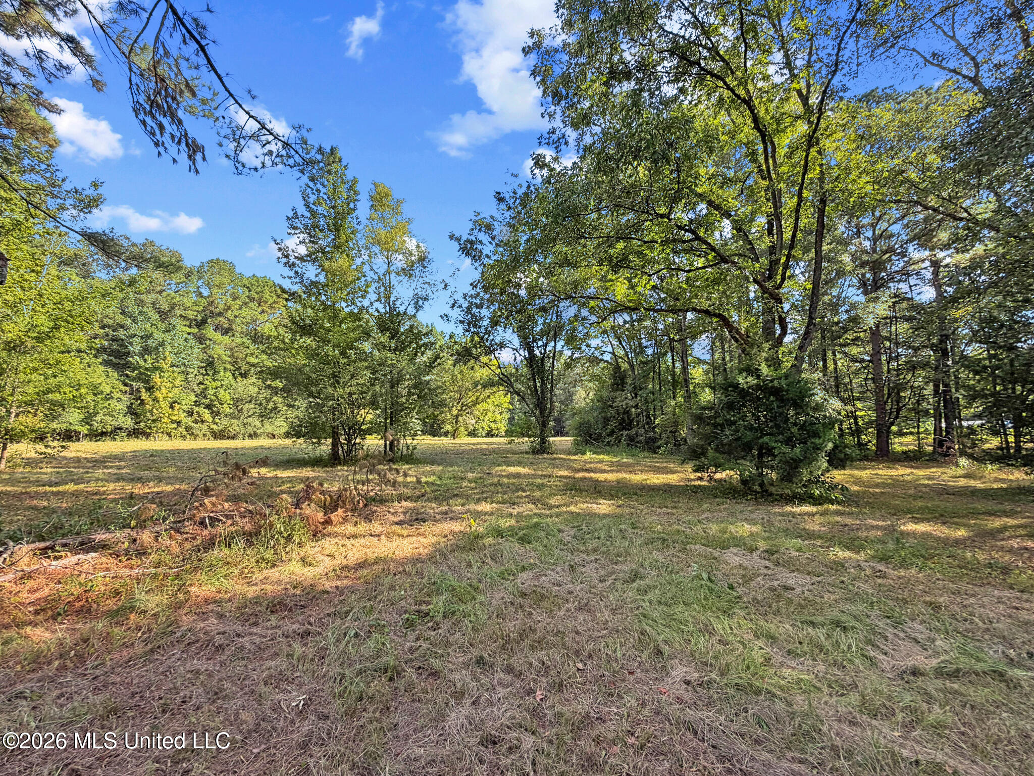 1194 Tom Kyzar Road Property Photo 21