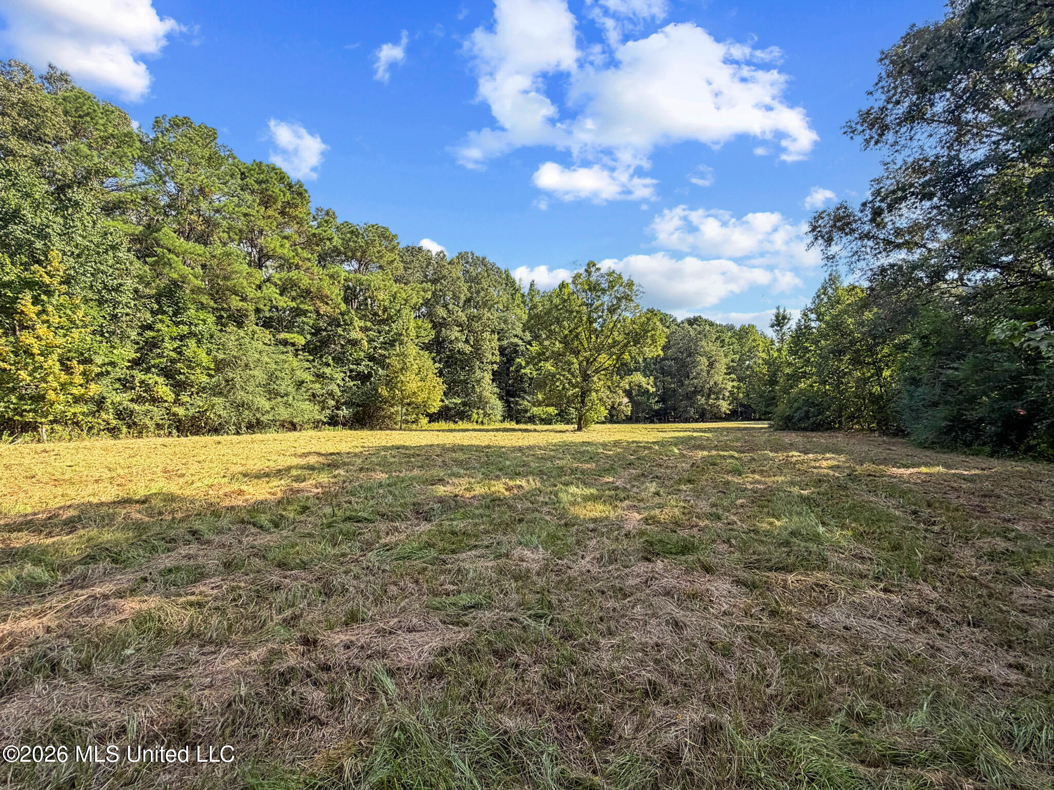 1194 Tom Kyzar Road Property Photo 22