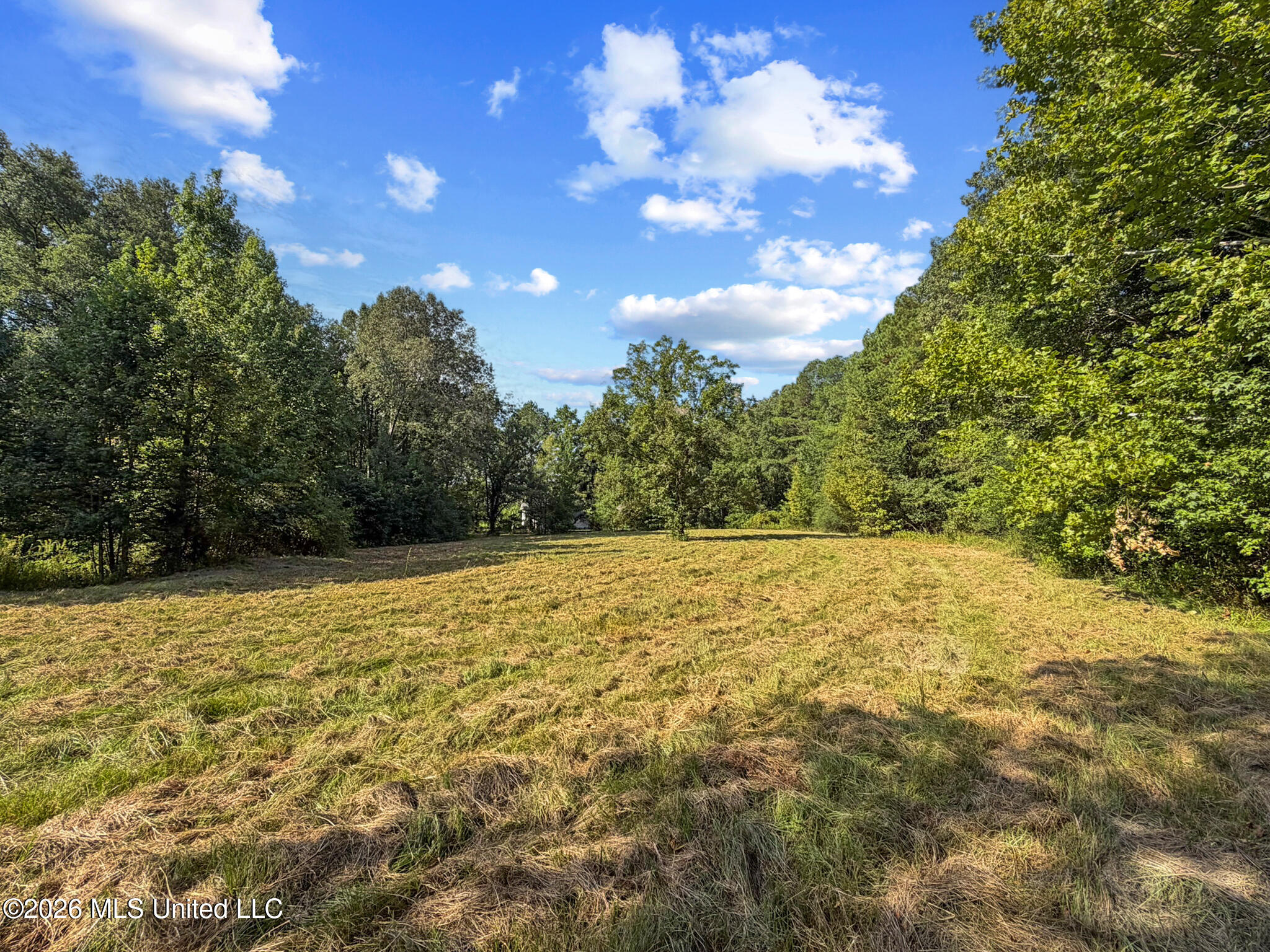 1194 Tom Kyzar Road Property Photo 23