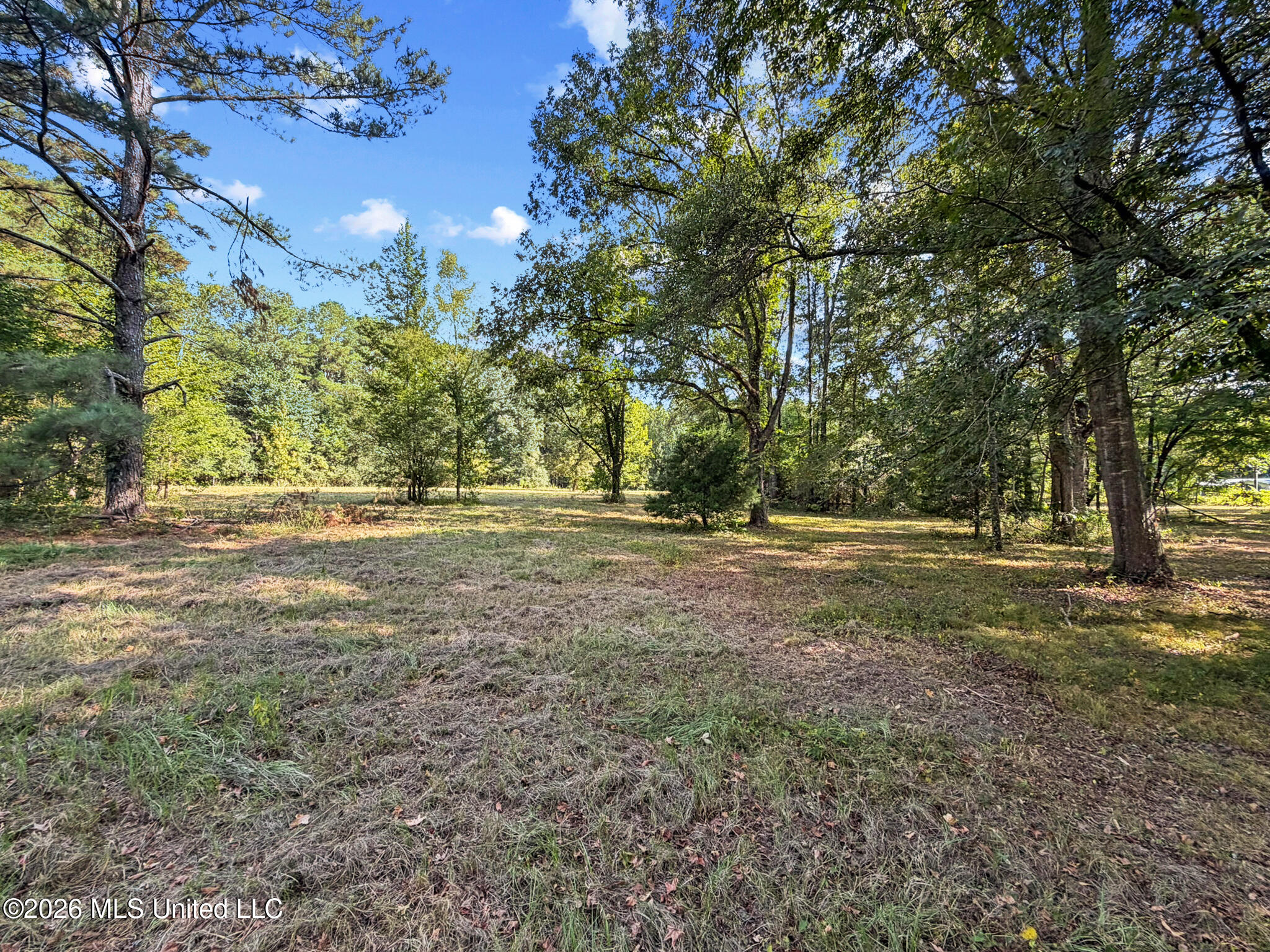 1194 Tom Kyzar Road Property Photo 25