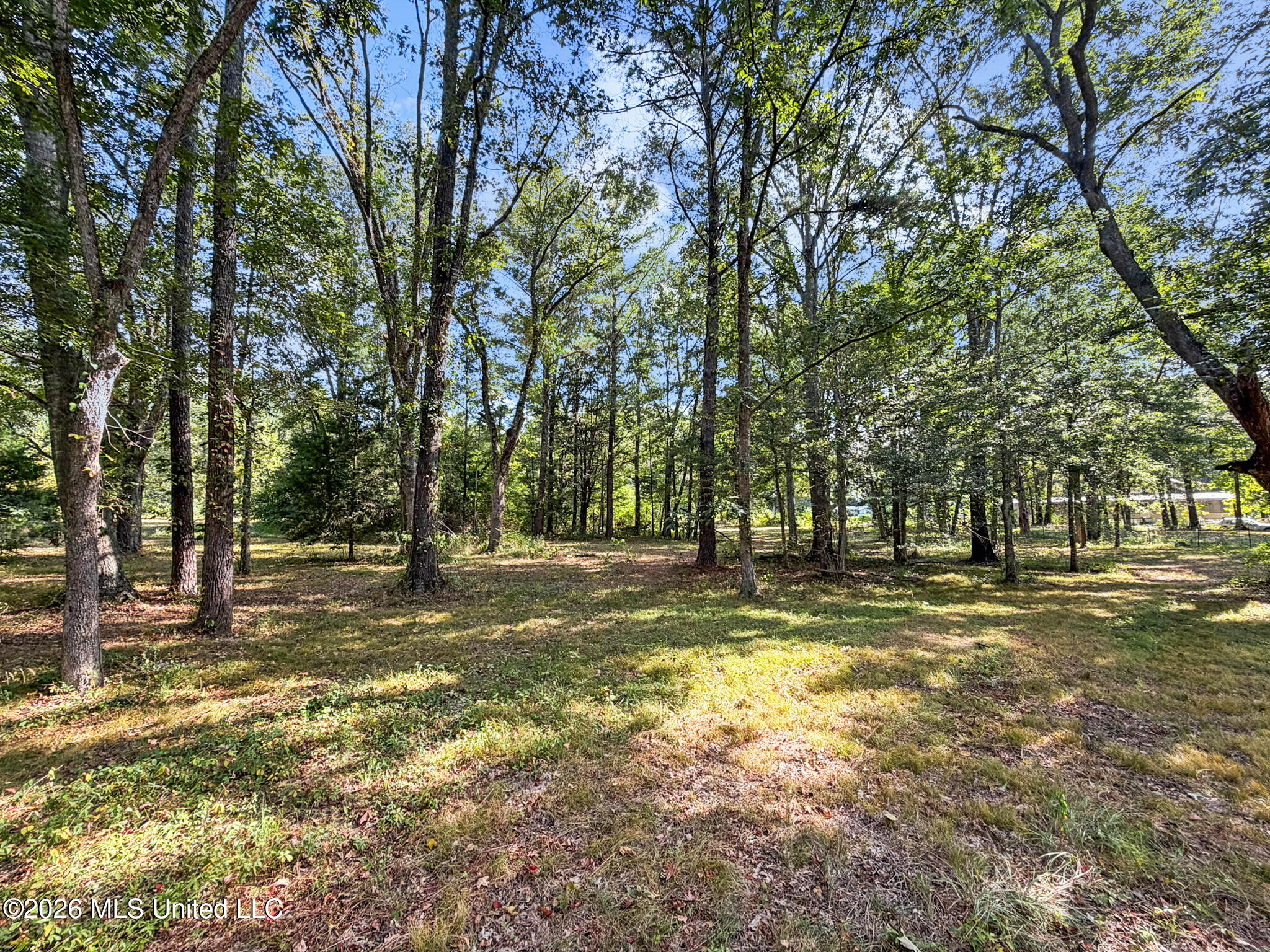 1194 Tom Kyzar Road Property Photo 26