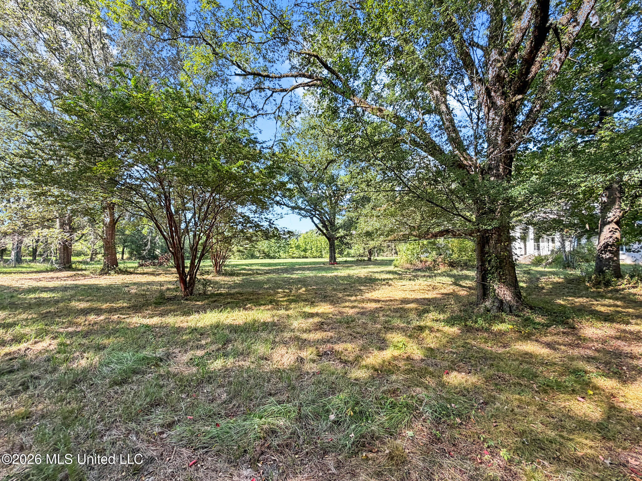 1194 Tom Kyzar Road Property Photo 27