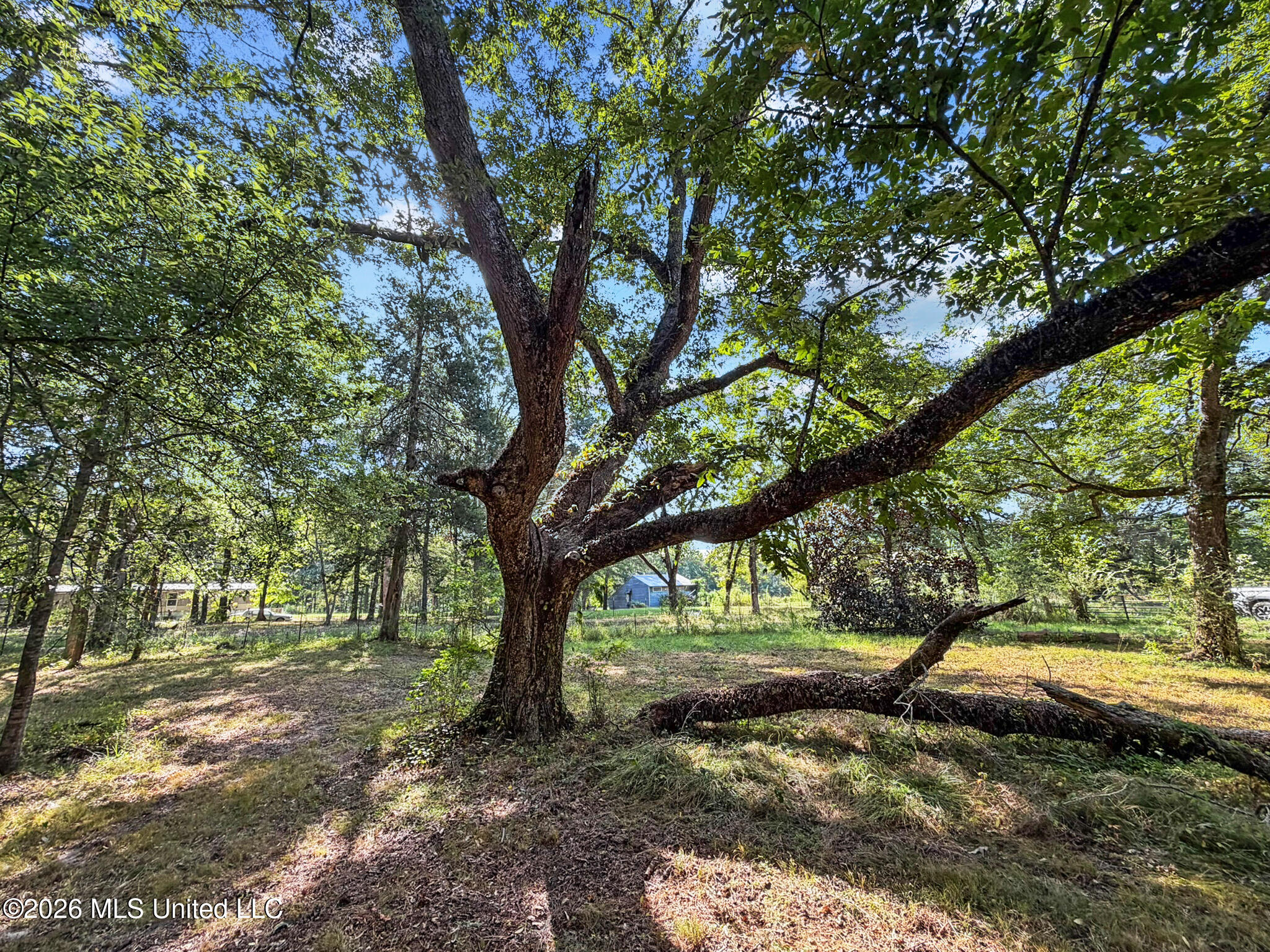 1194 Tom Kyzar Road Property Photo 28