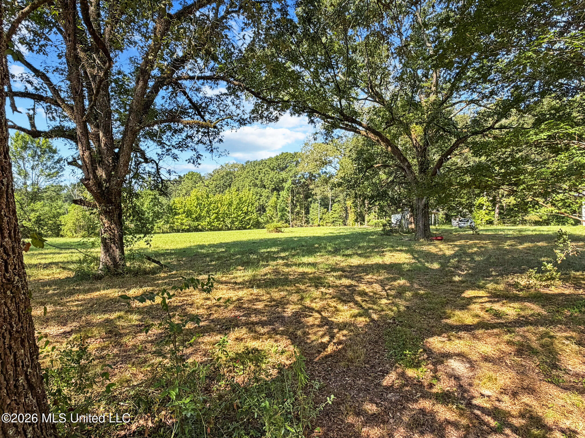 1194 Tom Kyzar Road Property Photo 30
