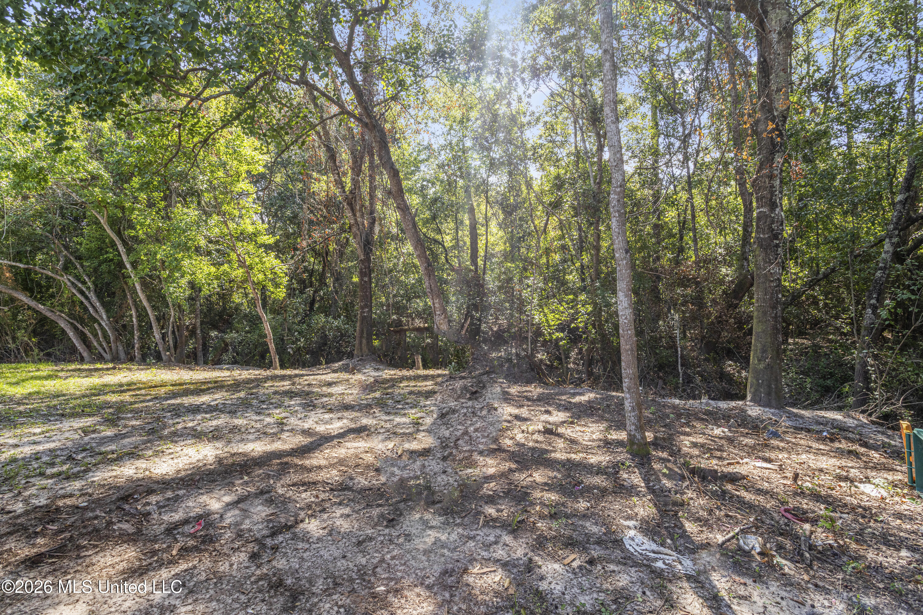 11598 Oaklane Drive Property Photo 29
