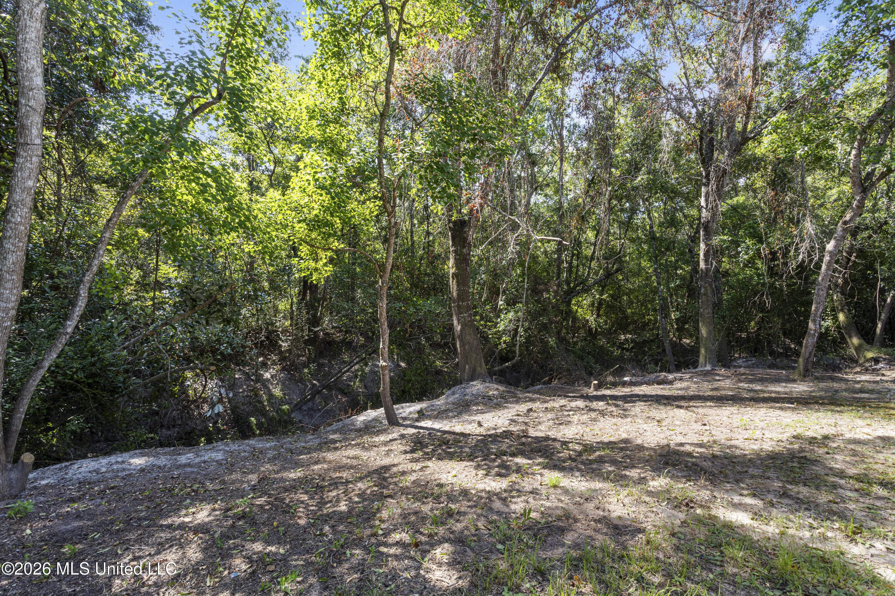 11598 Oaklane Drive Property Photo 31