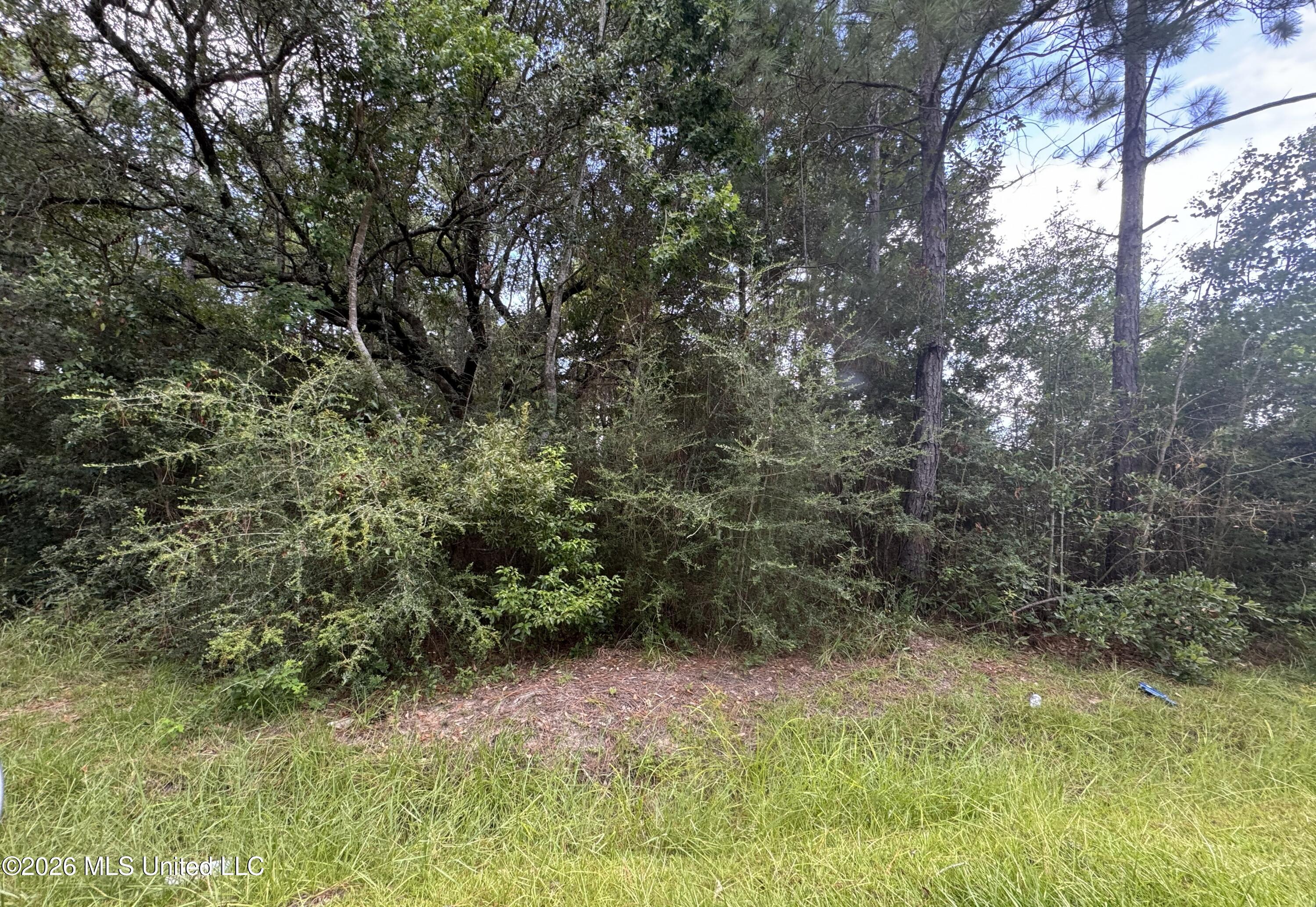 Sycamore Street Property Photo 2