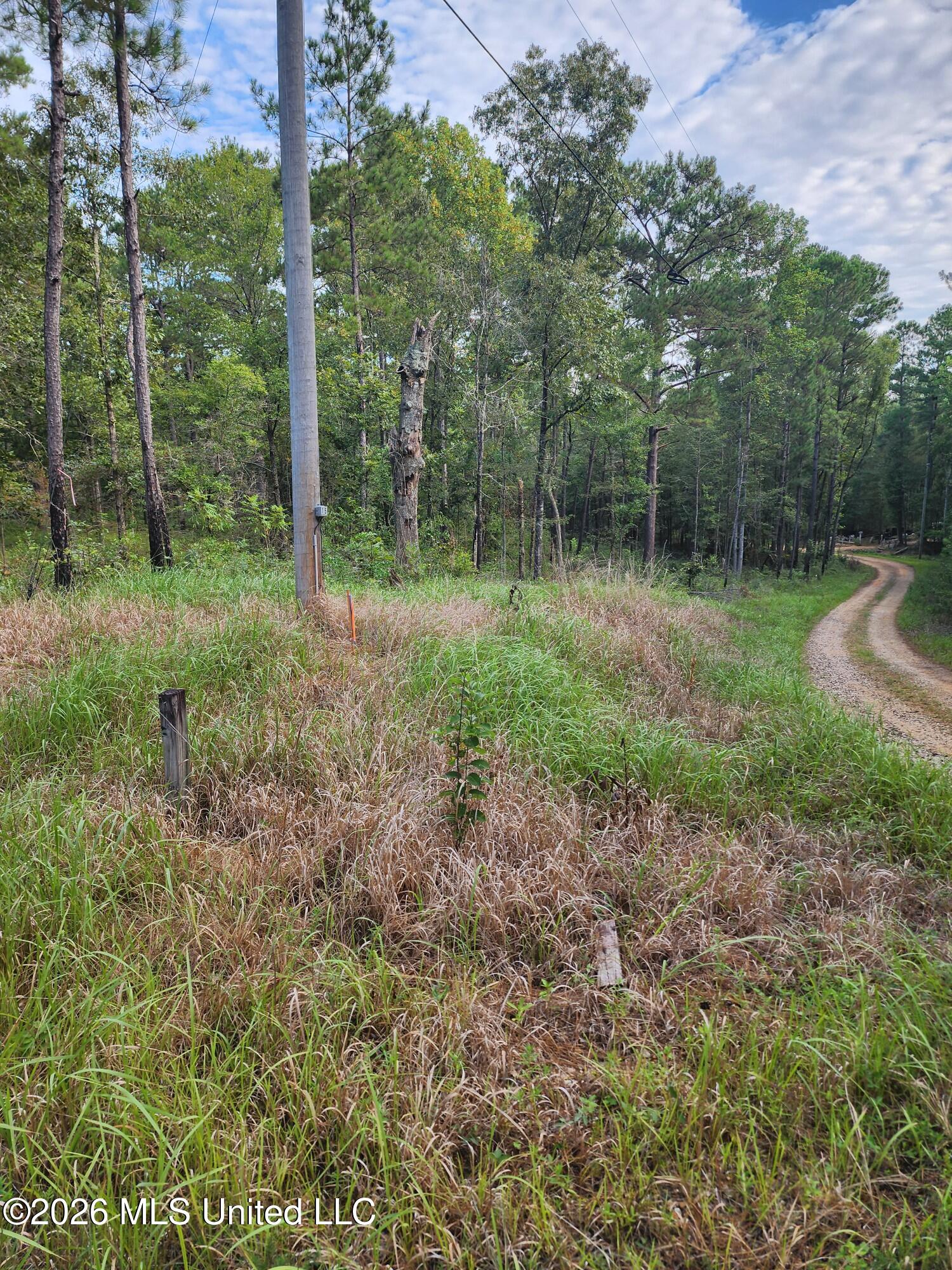 Dogwood Lane Property Photo 1
