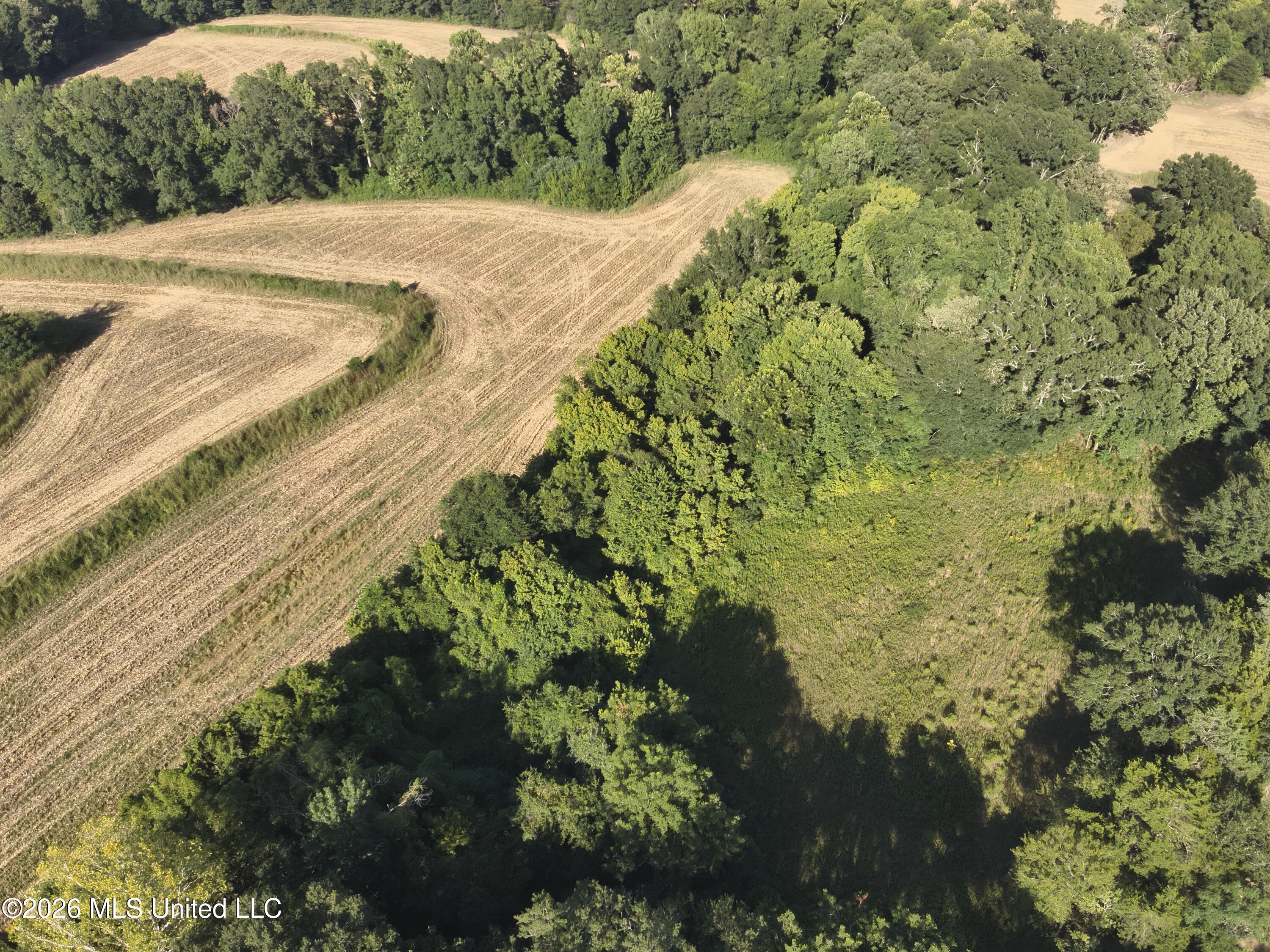 1650 Linwood Road Property Photo 4