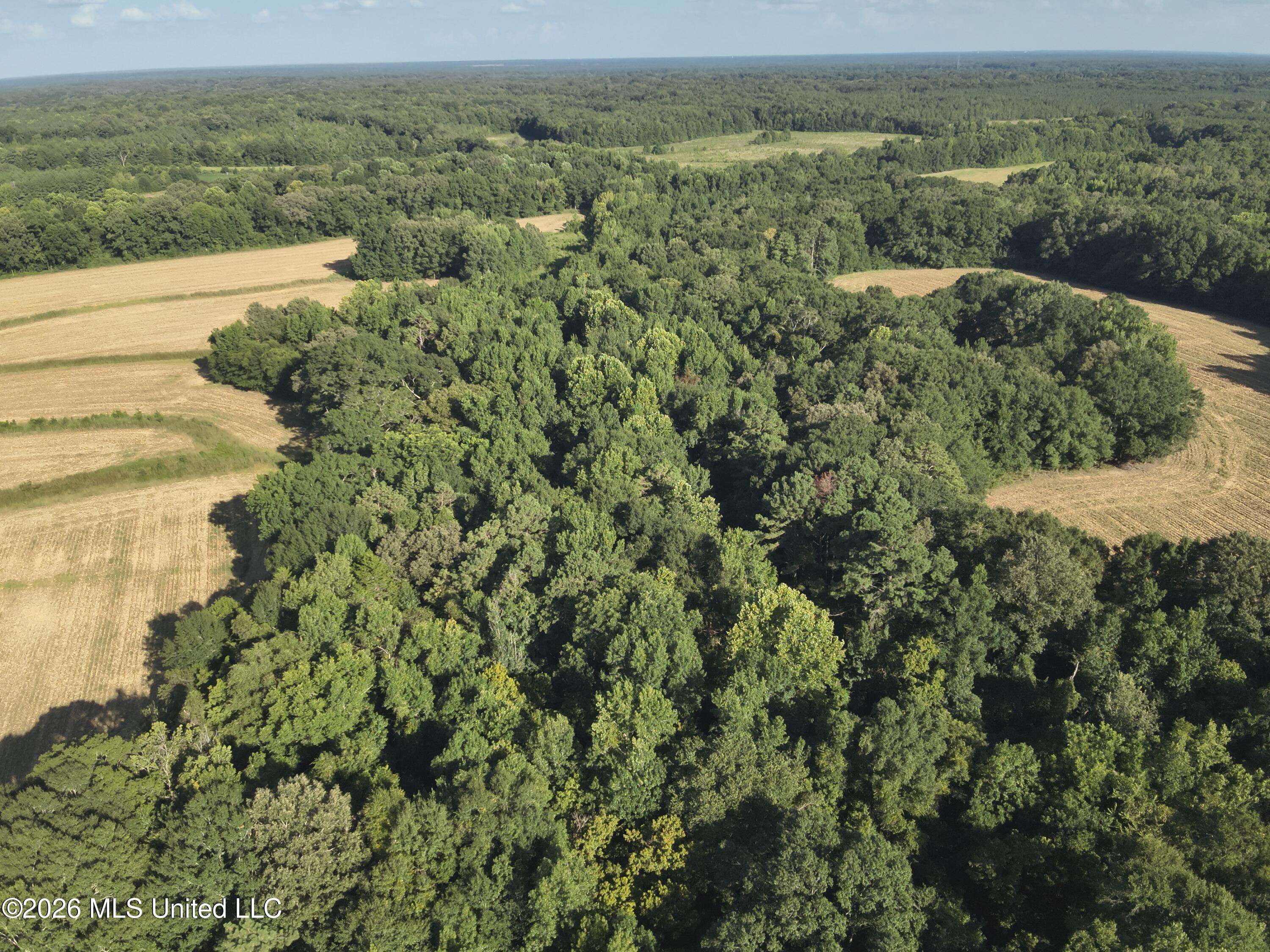 1650 Linwood Road Property Photo 12