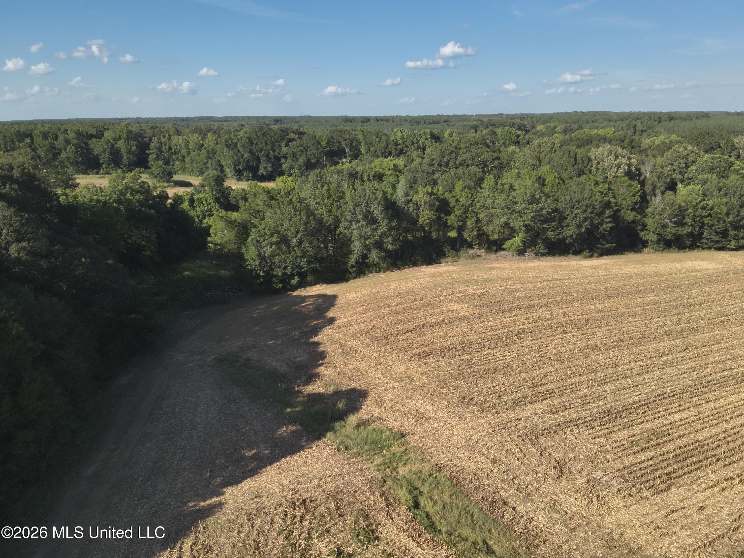 1650 Linwood Road Property Photo 3