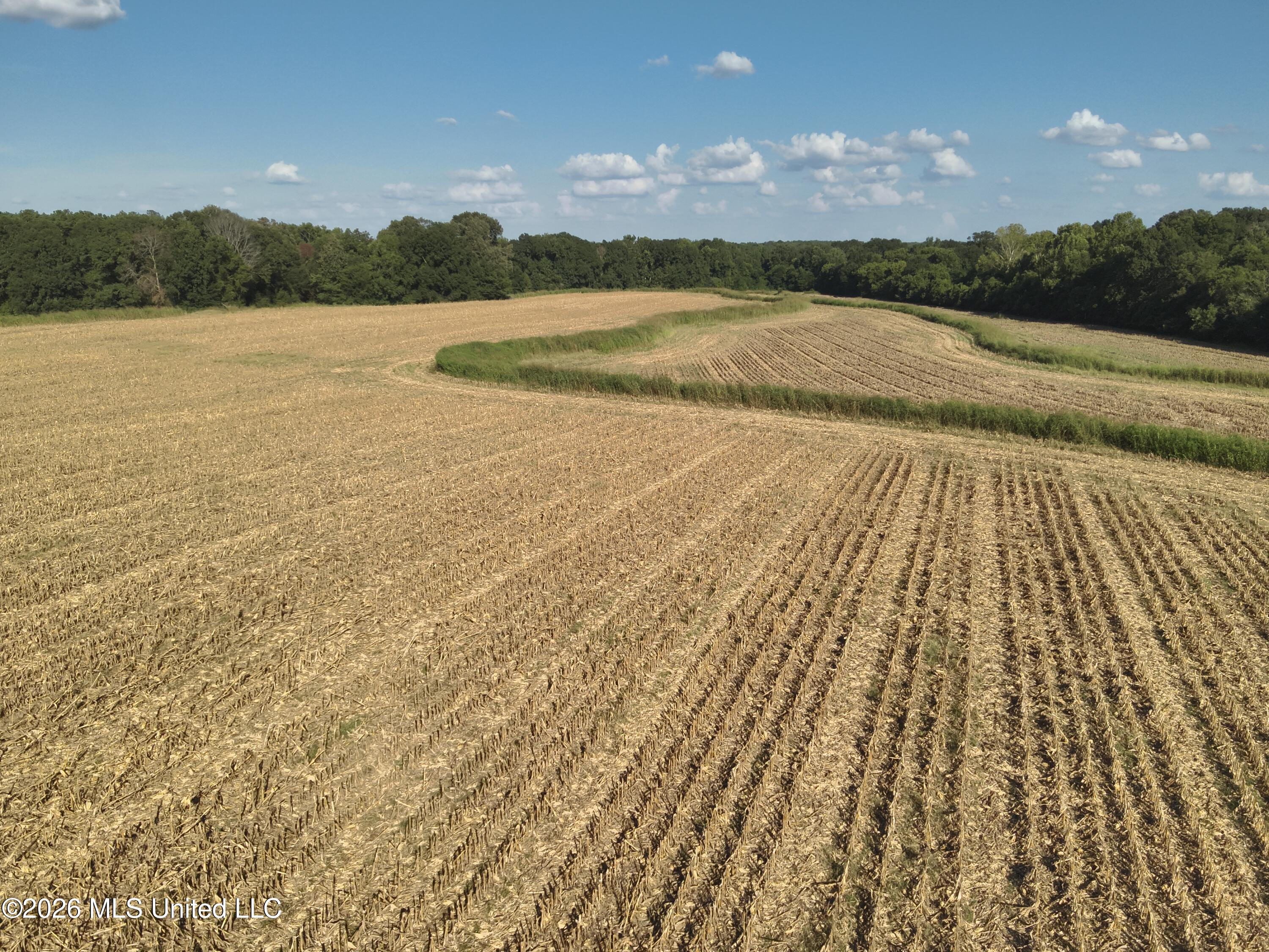 1650 Linwood Road Property Photo 6