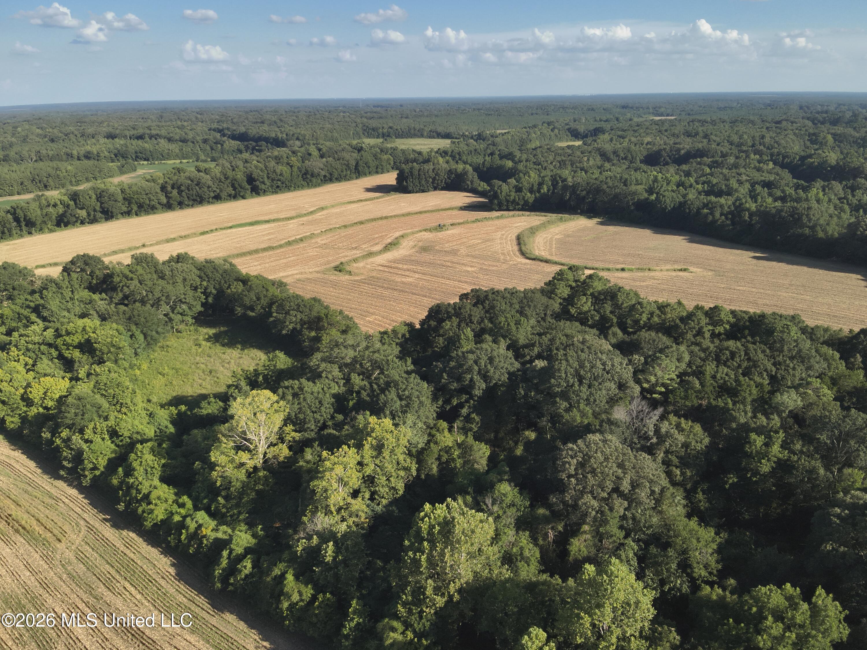1650 Linwood Road Property Photo 7