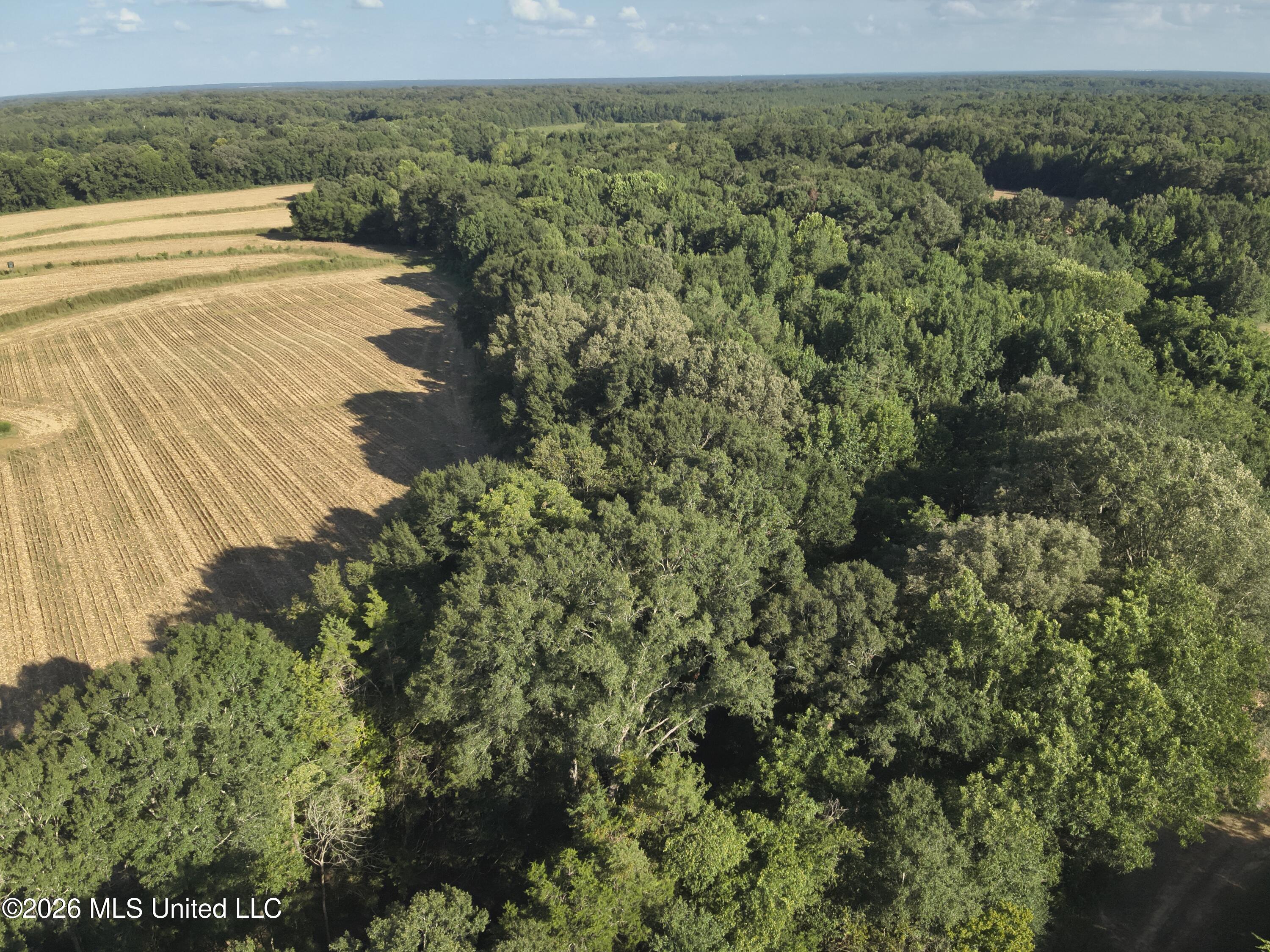 1650 Linwood Road Property Photo 11