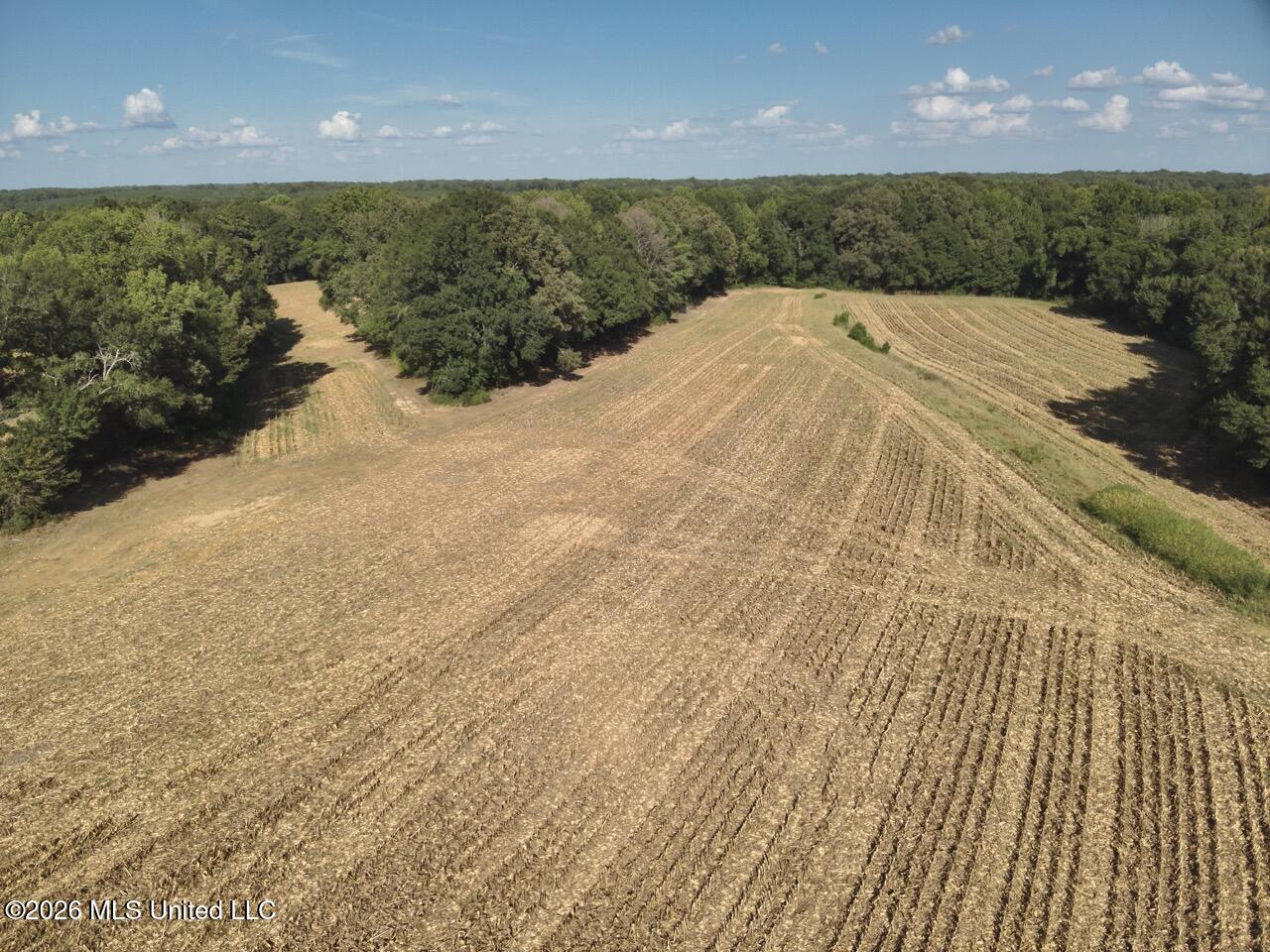 1650 Linwood Road Property Photo 15