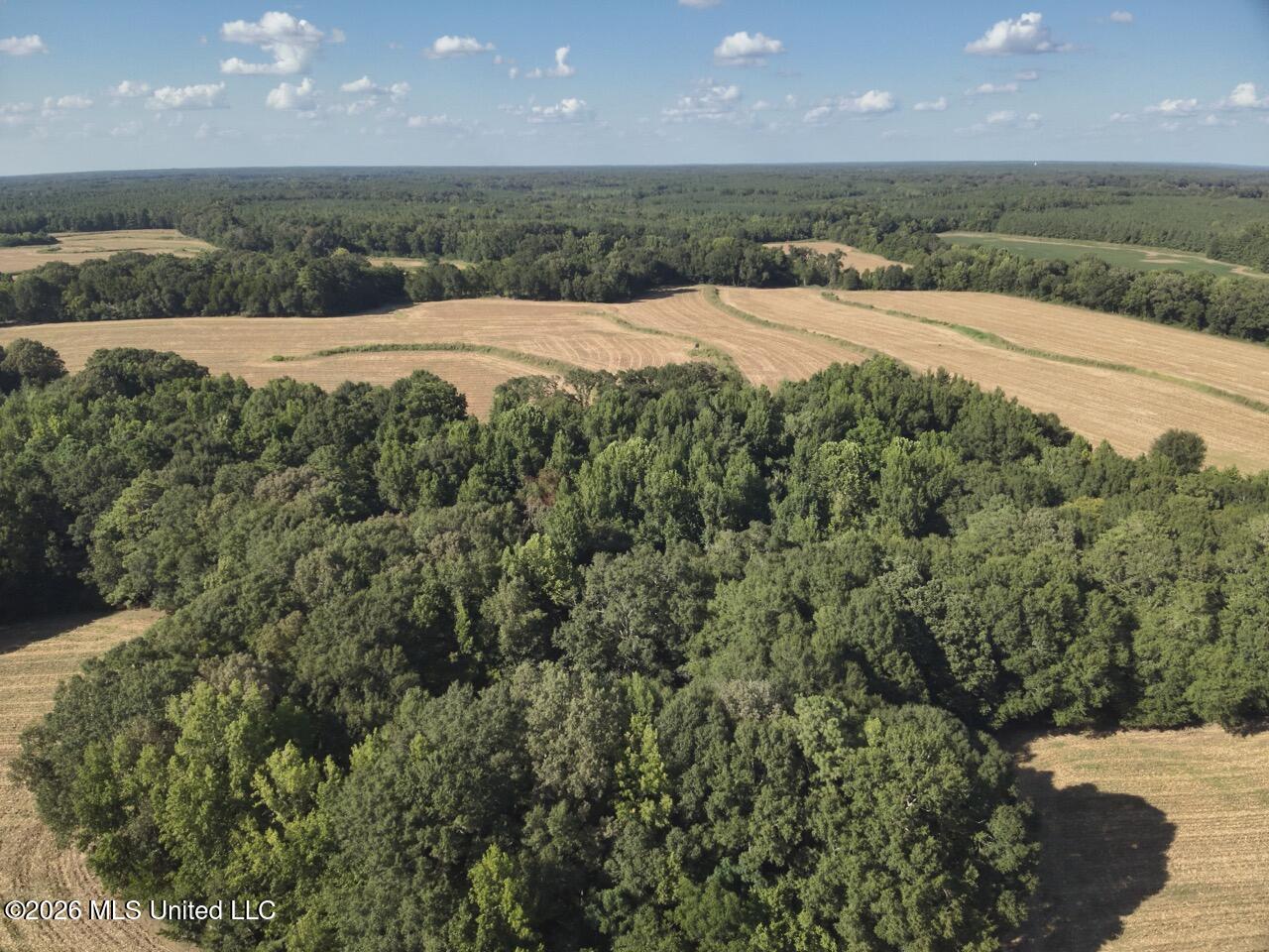 1650 Linwood Road Property Photo 18