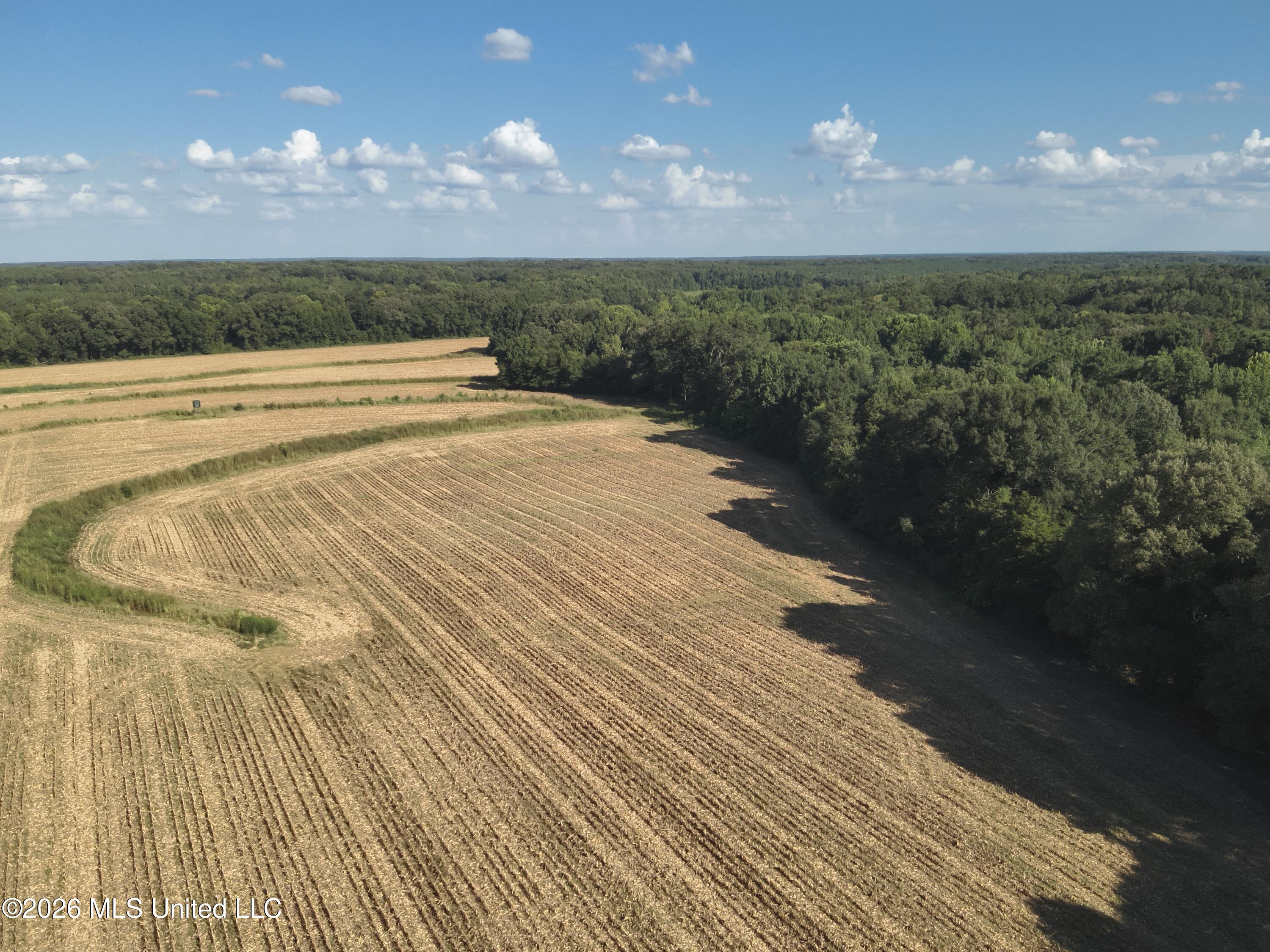 1650 Linwood Road Property Photo 19