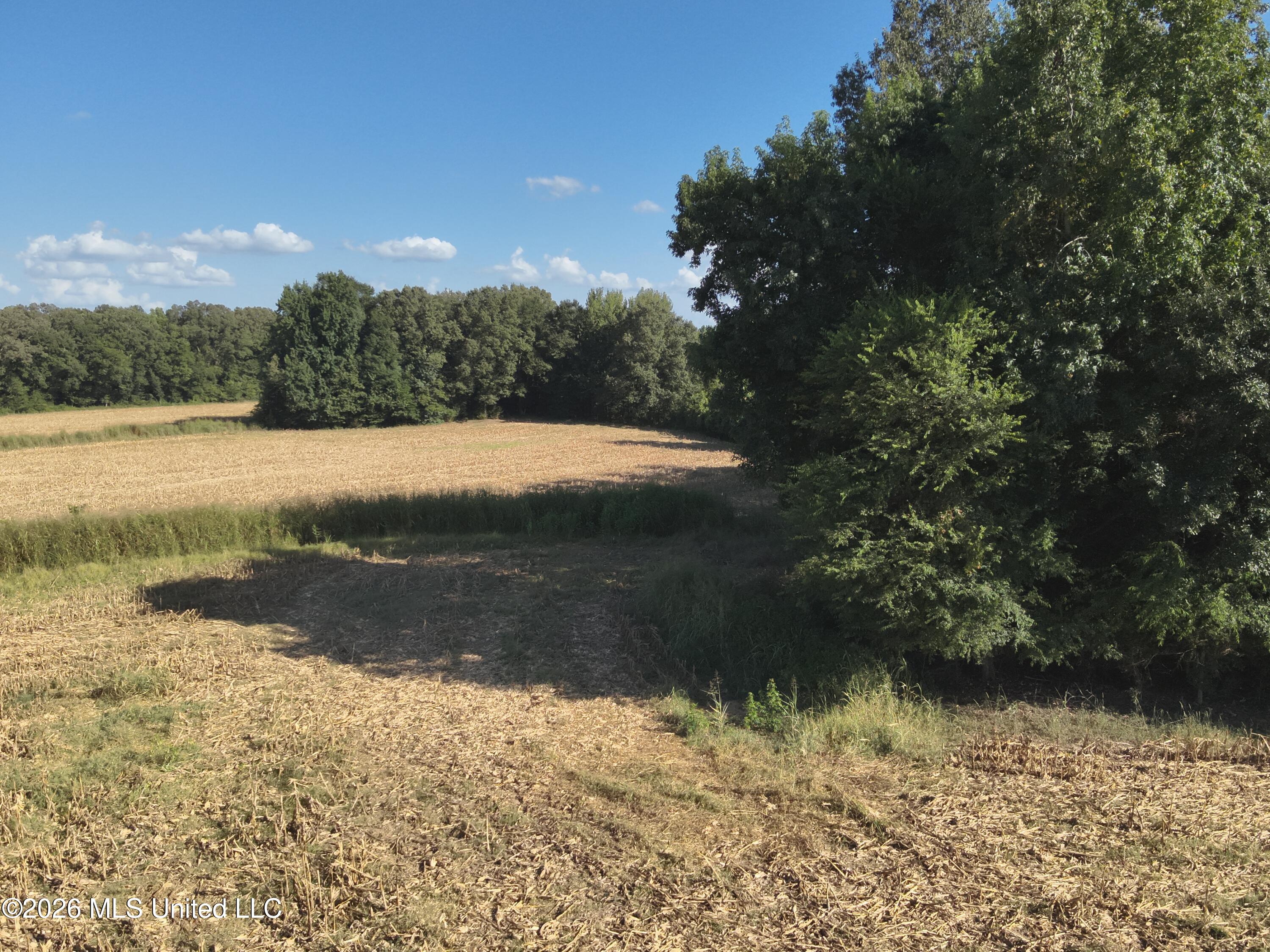 1650 Linwood Road Property Photo 21