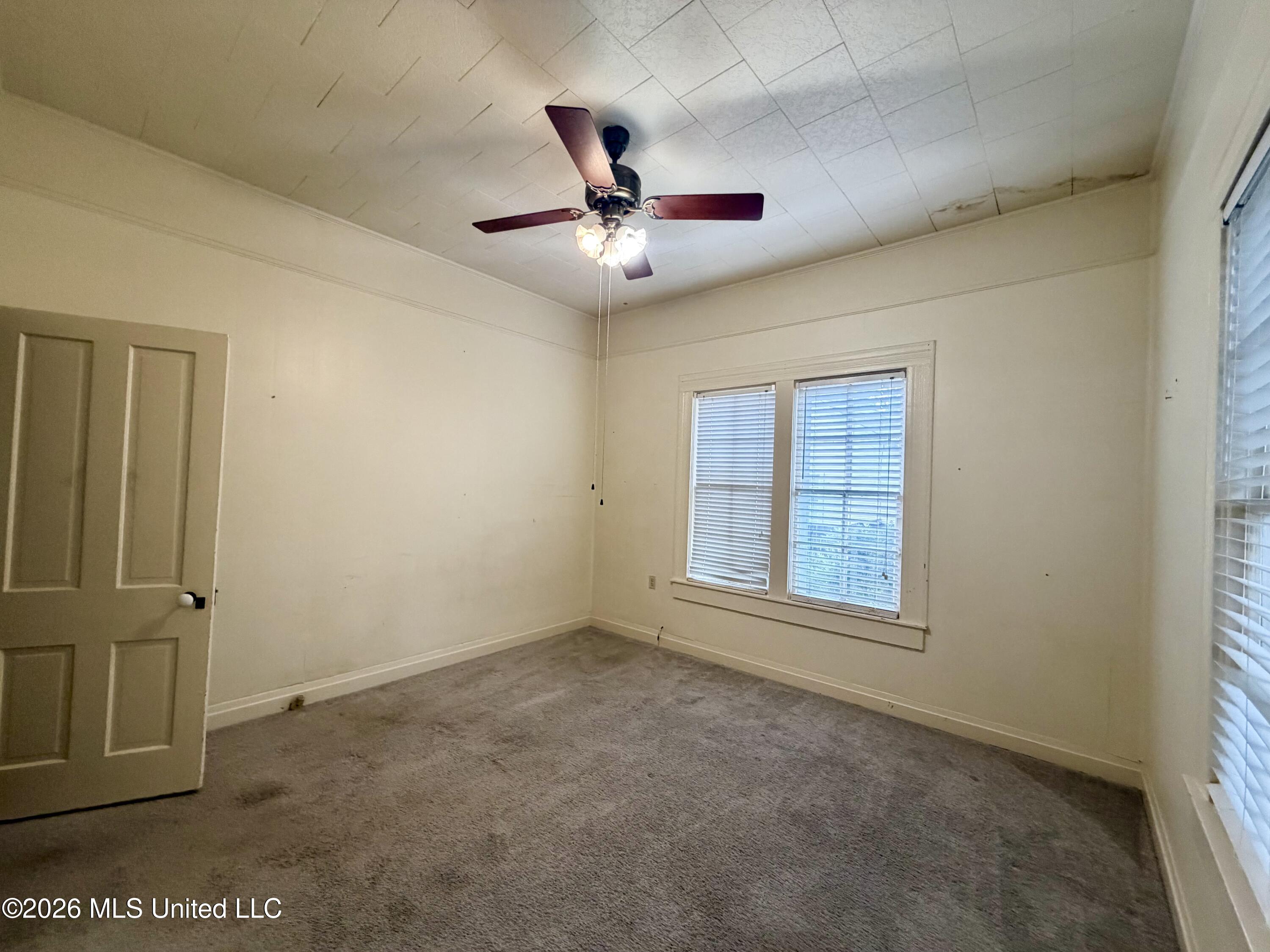 316 Becker Street Property Photo 17