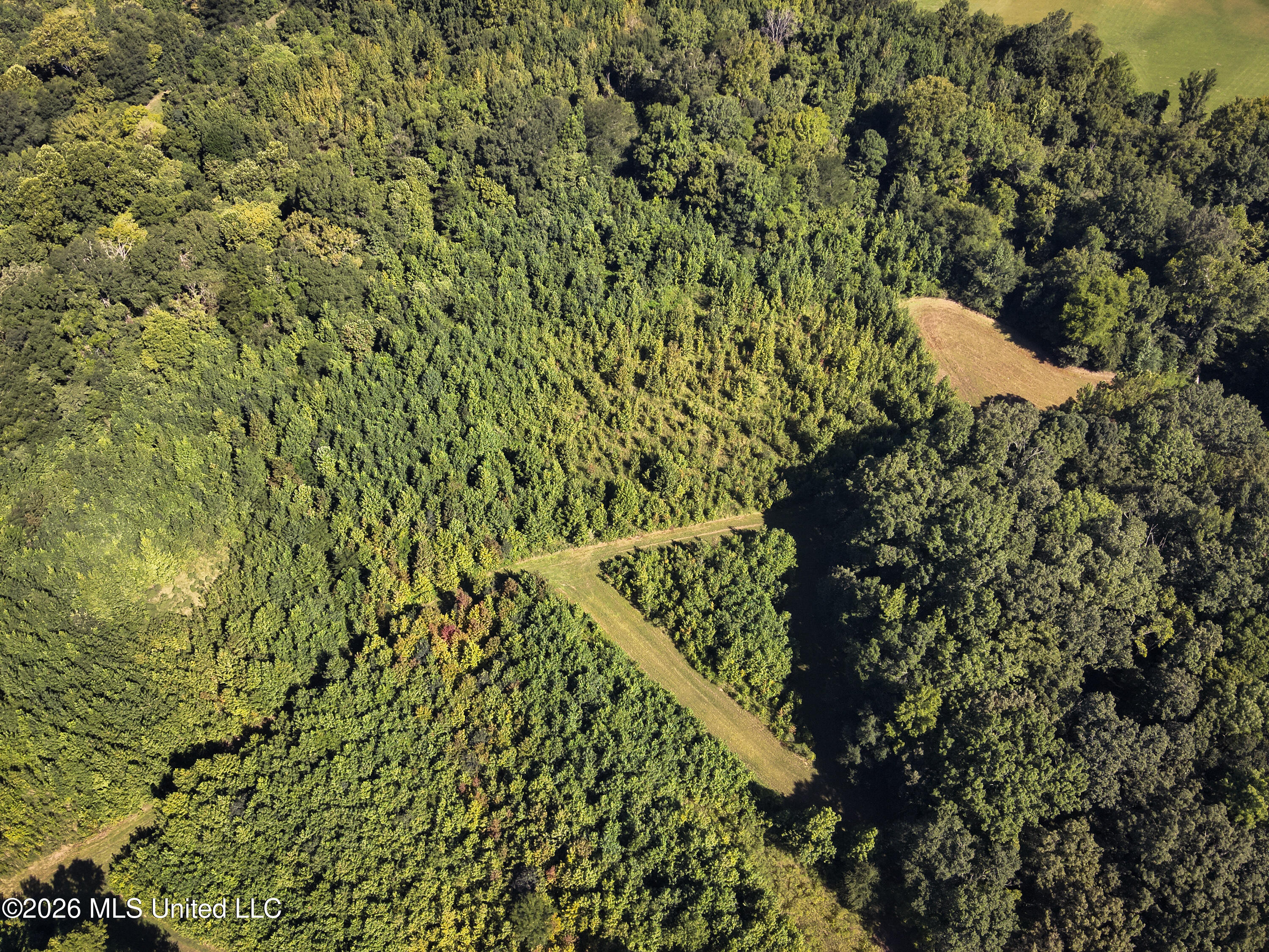 Hwy 433 S Property Photo 8