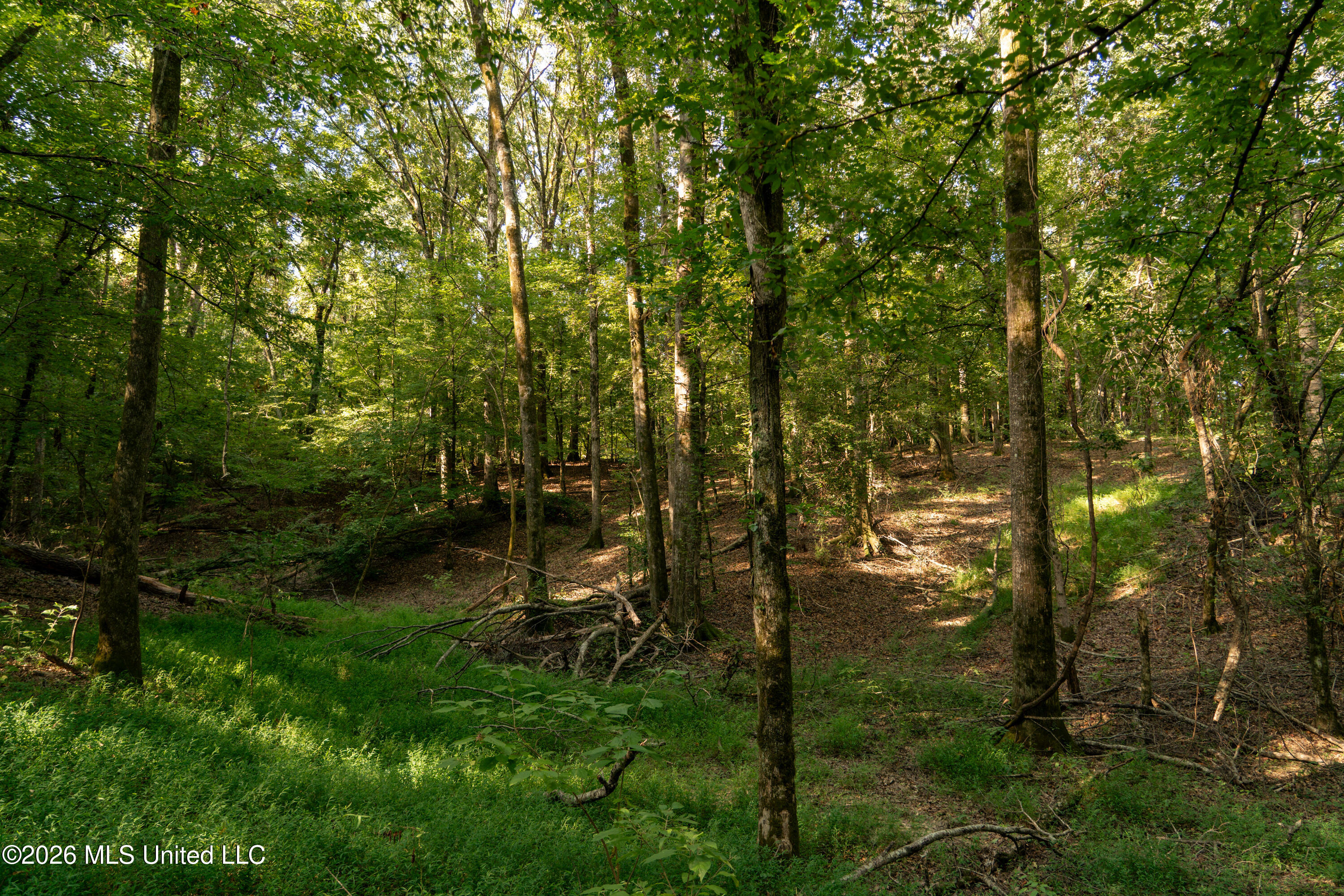 Hwy 433 S Property Photo 15