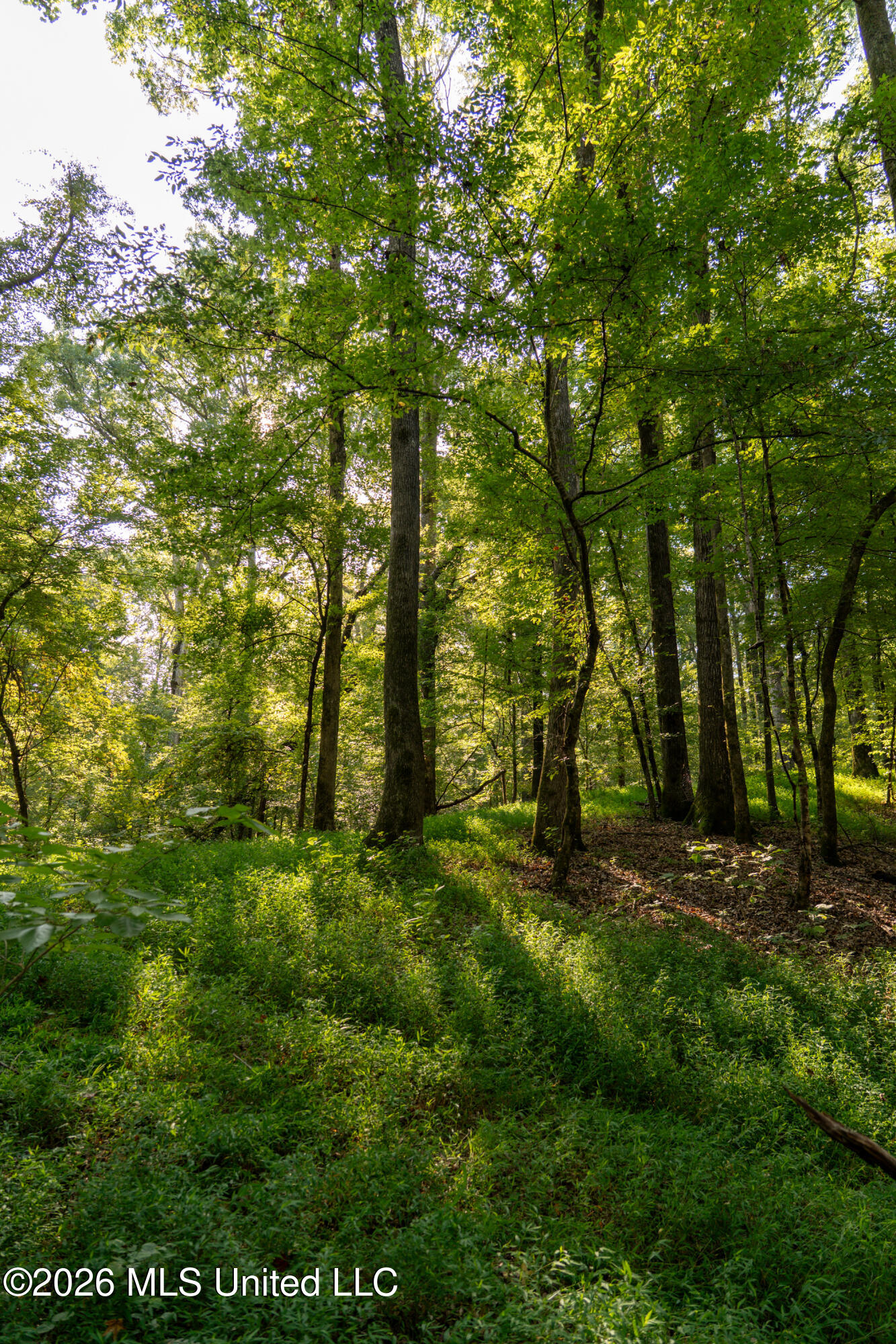 Hwy 433 S Property Photo 17