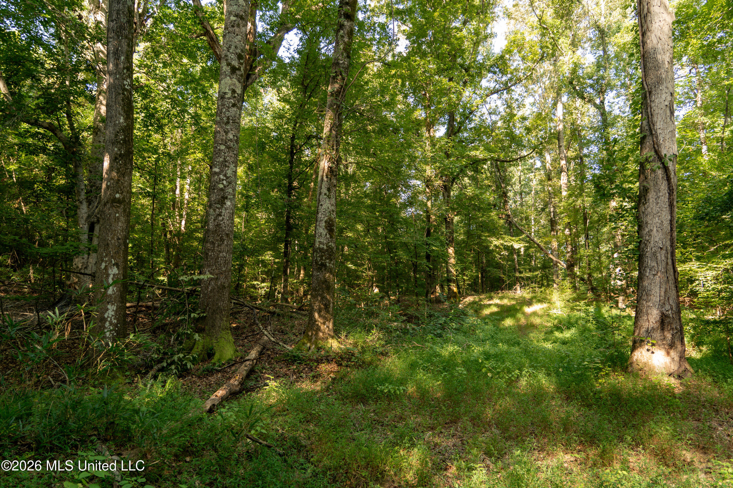 Hwy 433 S Property Photo 19