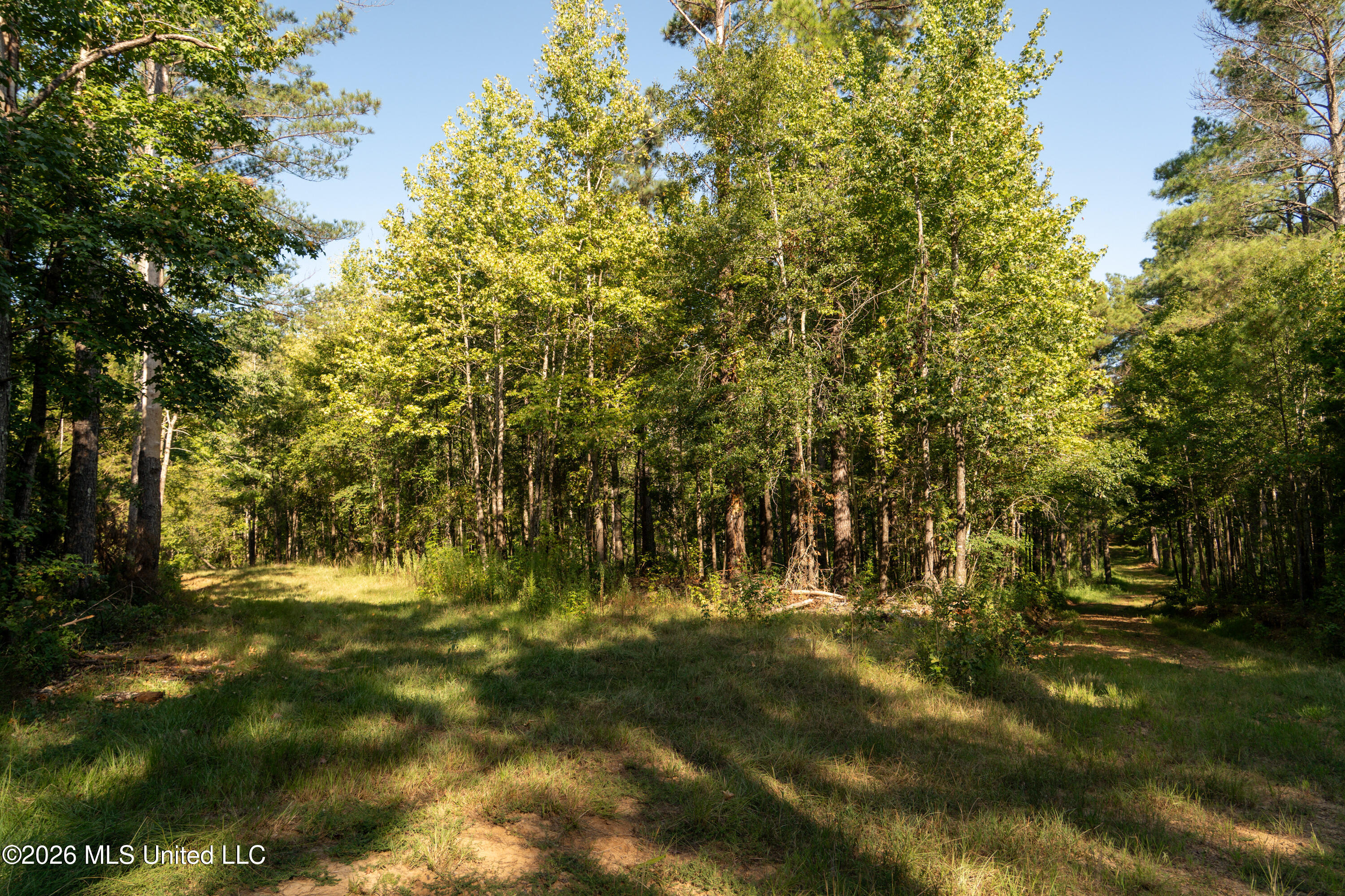 Hwy 433 S Property Photo 25