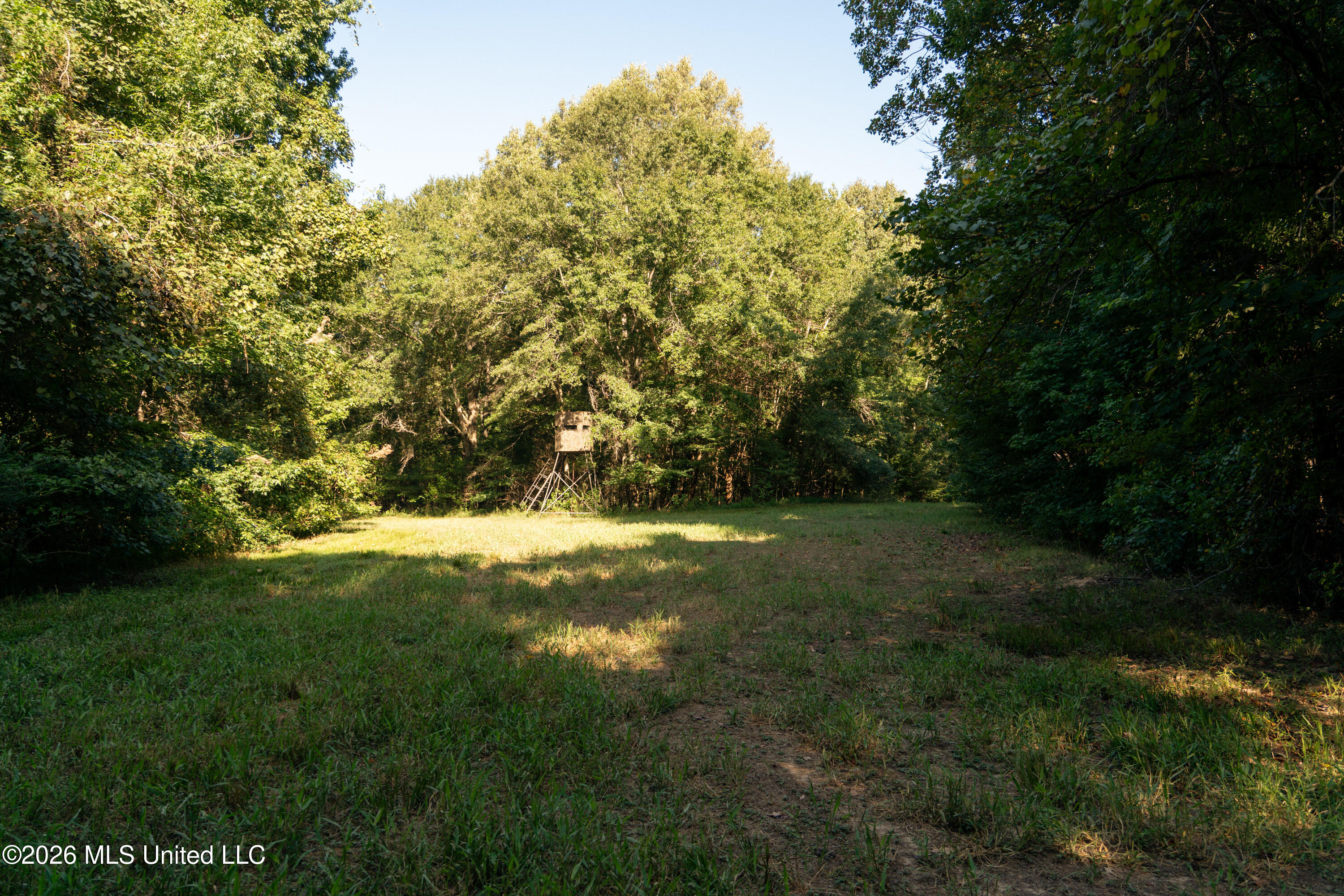 Hwy 433 S Property Photo 27