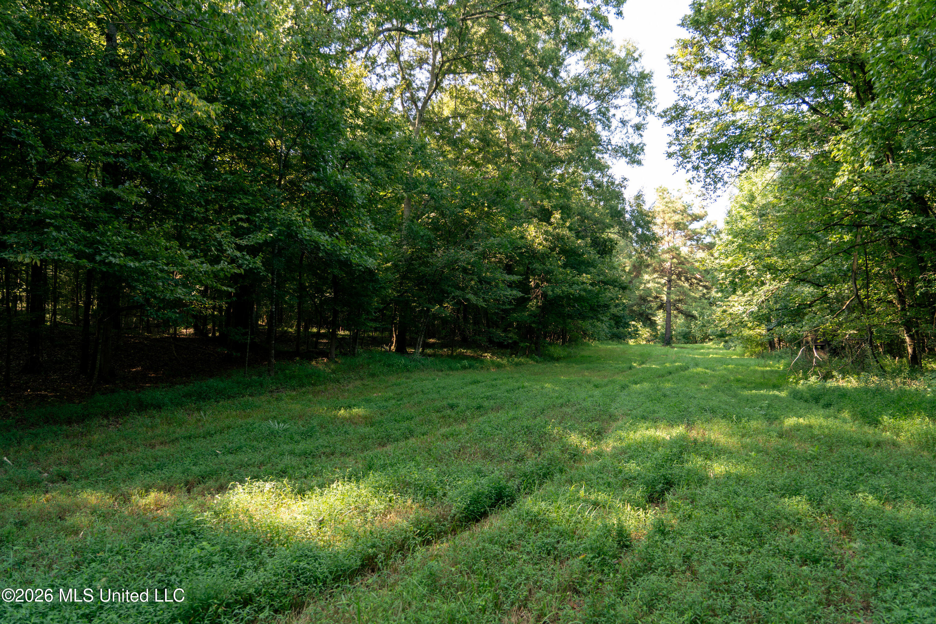 Hwy 433 S Property Photo 41