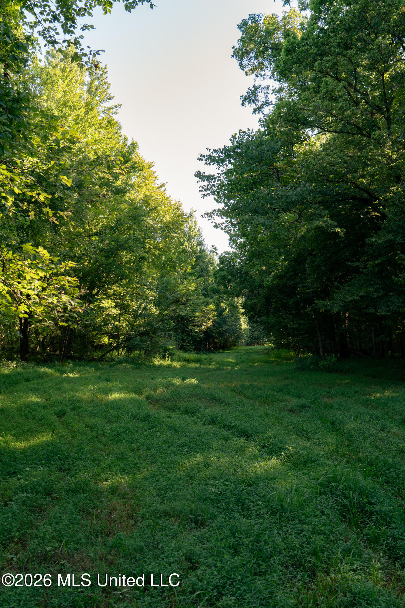 Hwy 433 S Property Photo 44