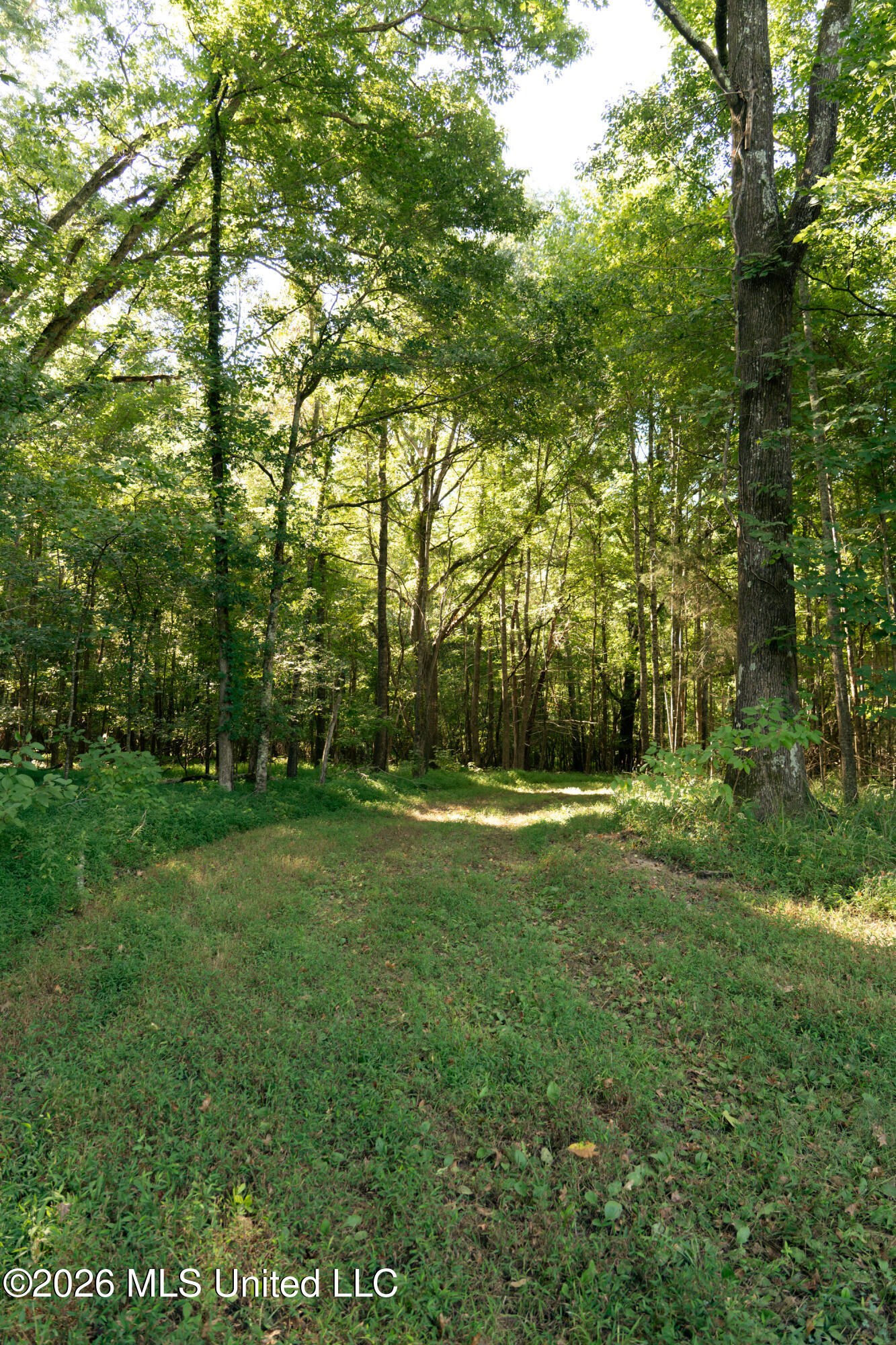 Hwy 433 S Property Photo 52